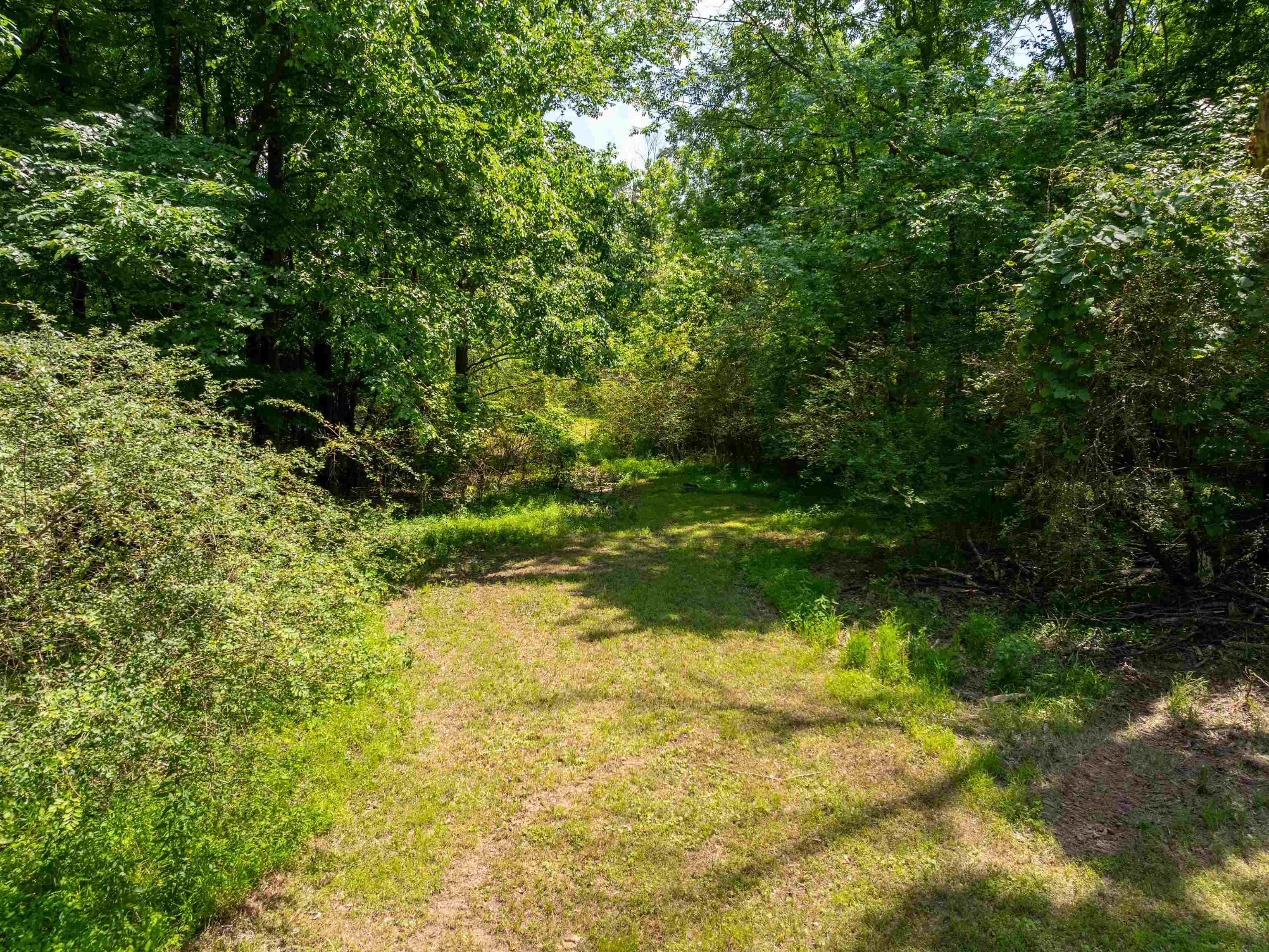 4875 Forest Hill-irene Rd Property Photo 19