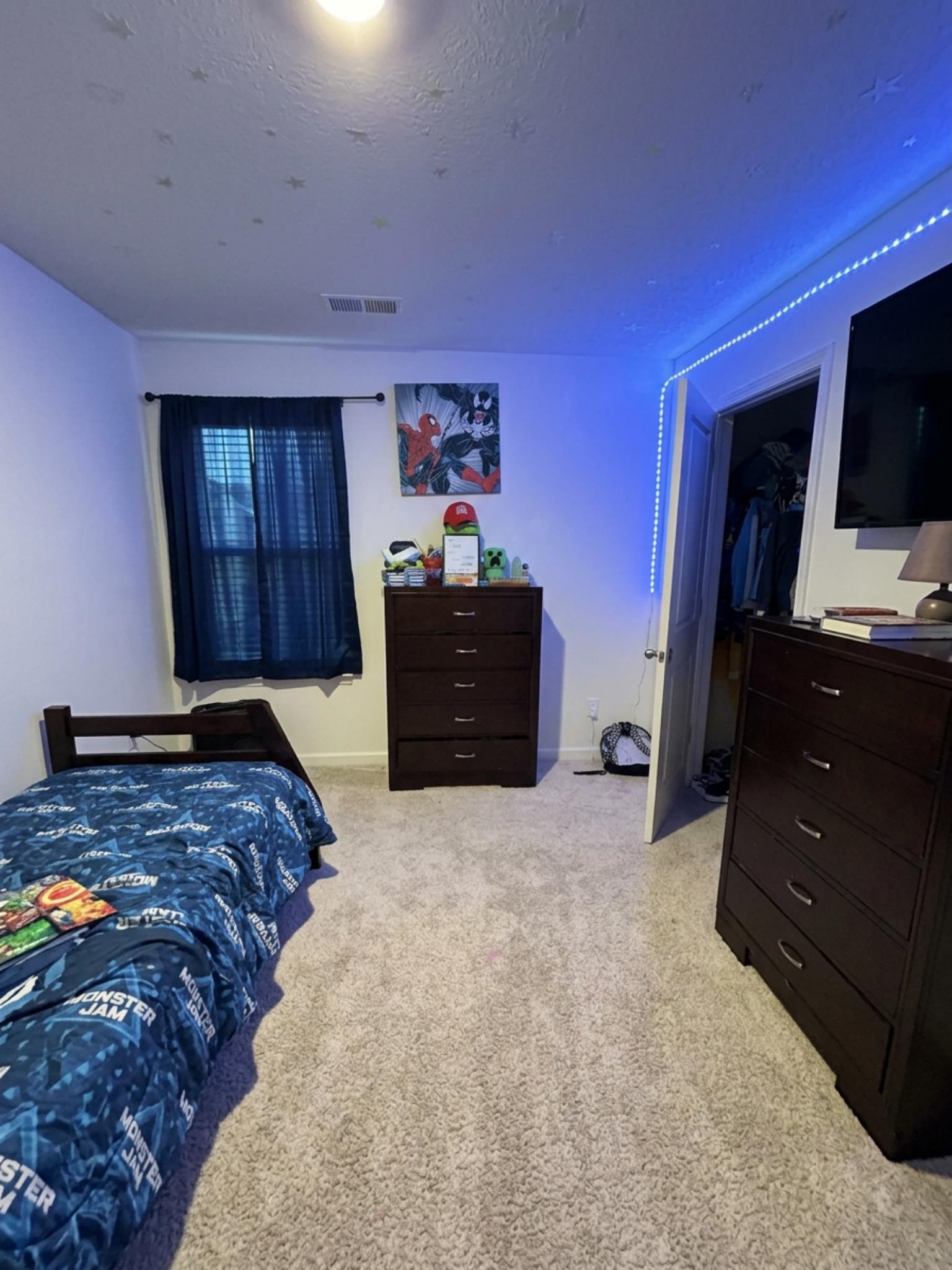 10 Misty Birch Ln Property Photo 11