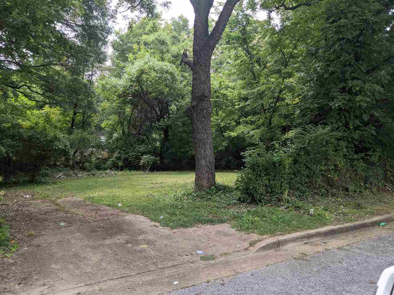 0 DUBLIN DR LOTS 20 & 21 LAST TWO LOTS ON RIGHT IN A COVE ) Property Photo 1