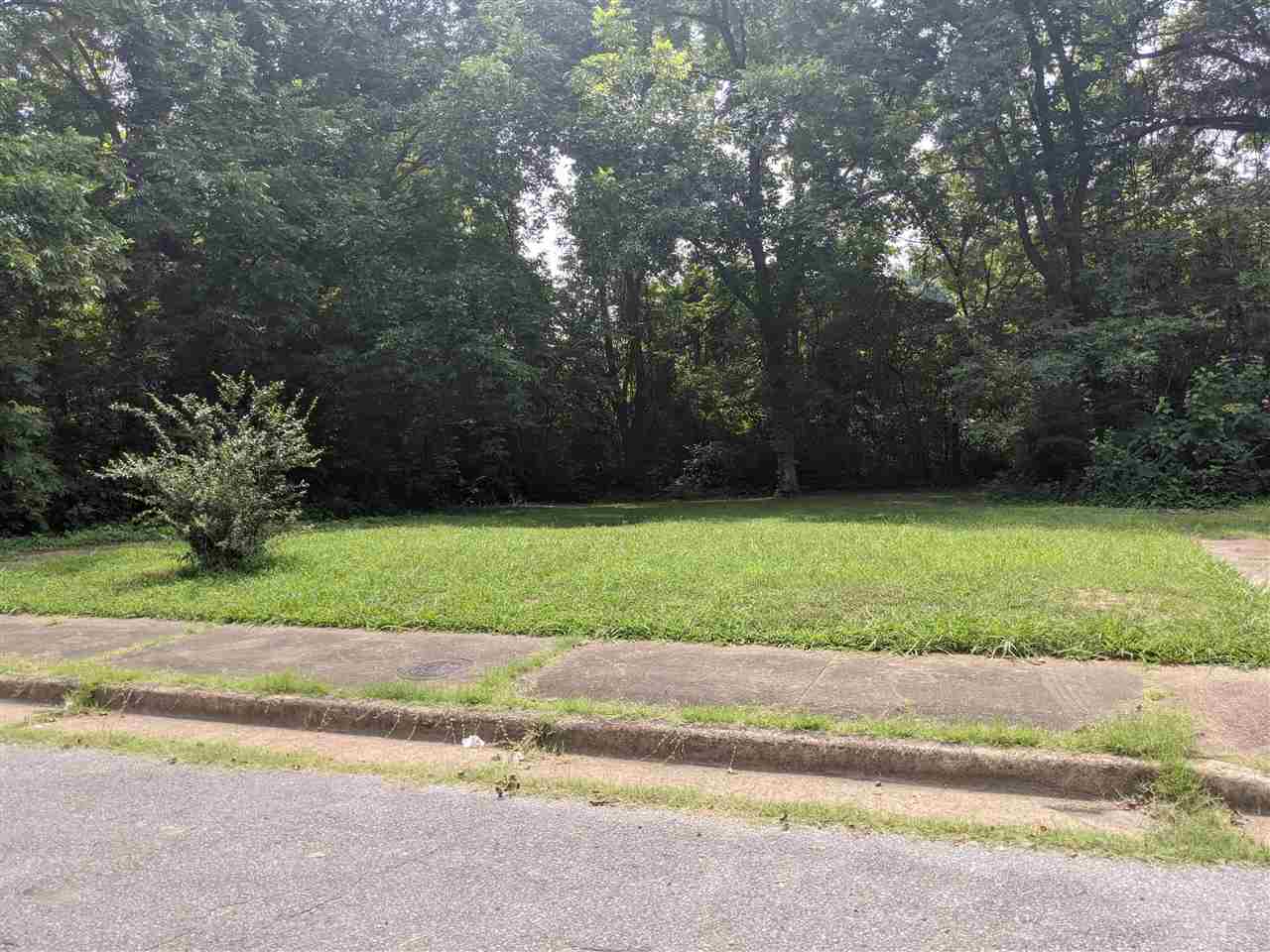 0 Dublin Dr Lots 20 & 21 Last Two Lots On Right In A Cove ) Property Photo 3