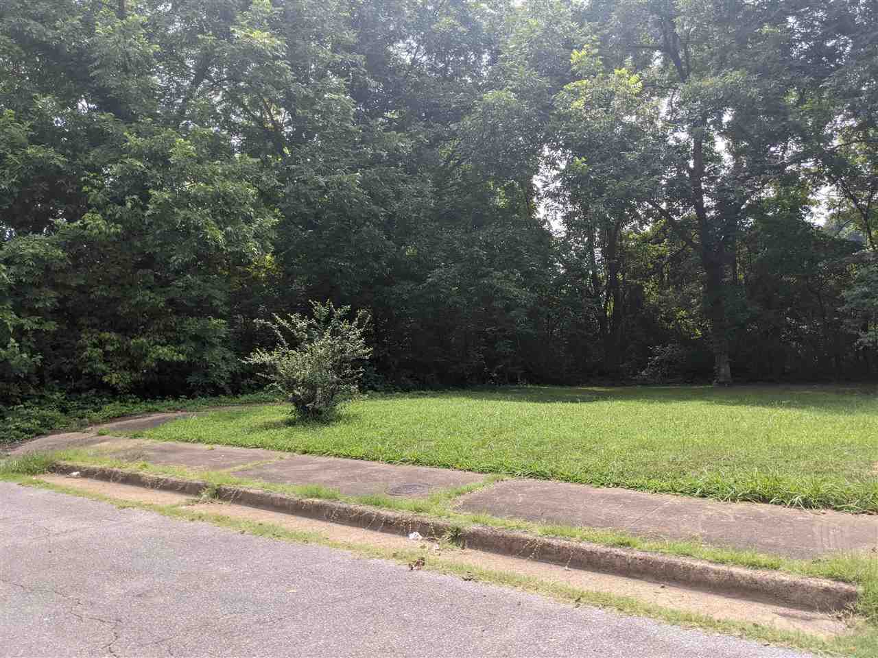 0 Dublin Dr Lots 20 & 21 Last Two Lots On Right In A Cove ) Property Photo 4