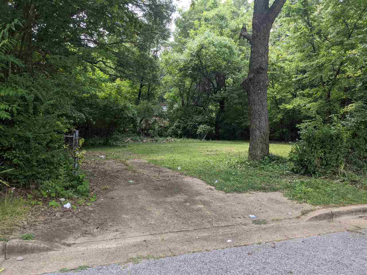 0 Dublin Dr Lots 20 & 21 Last Two Lots On Right In A Cove ) Property Photo 5