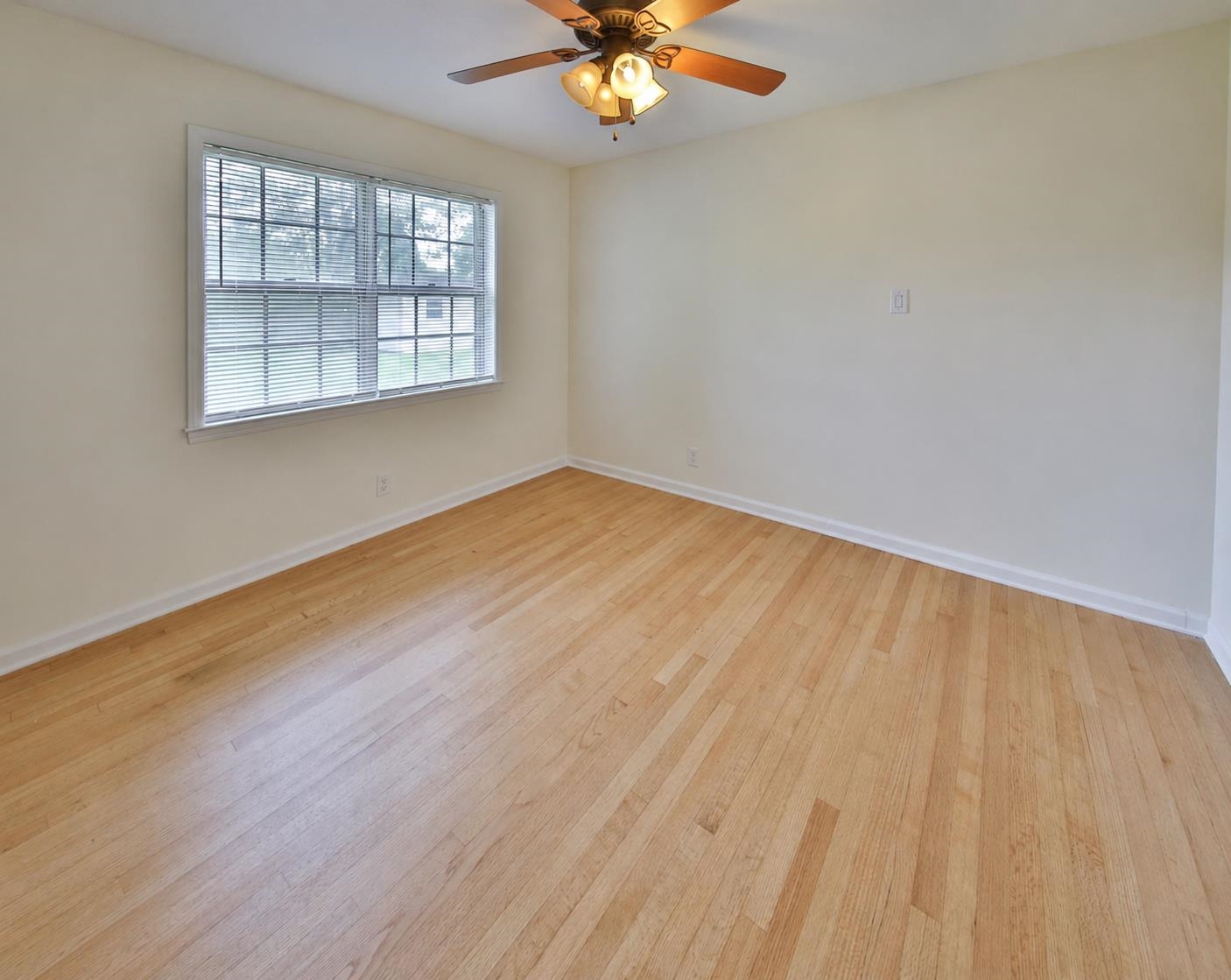 7262 Pam Dr Property Photo 19