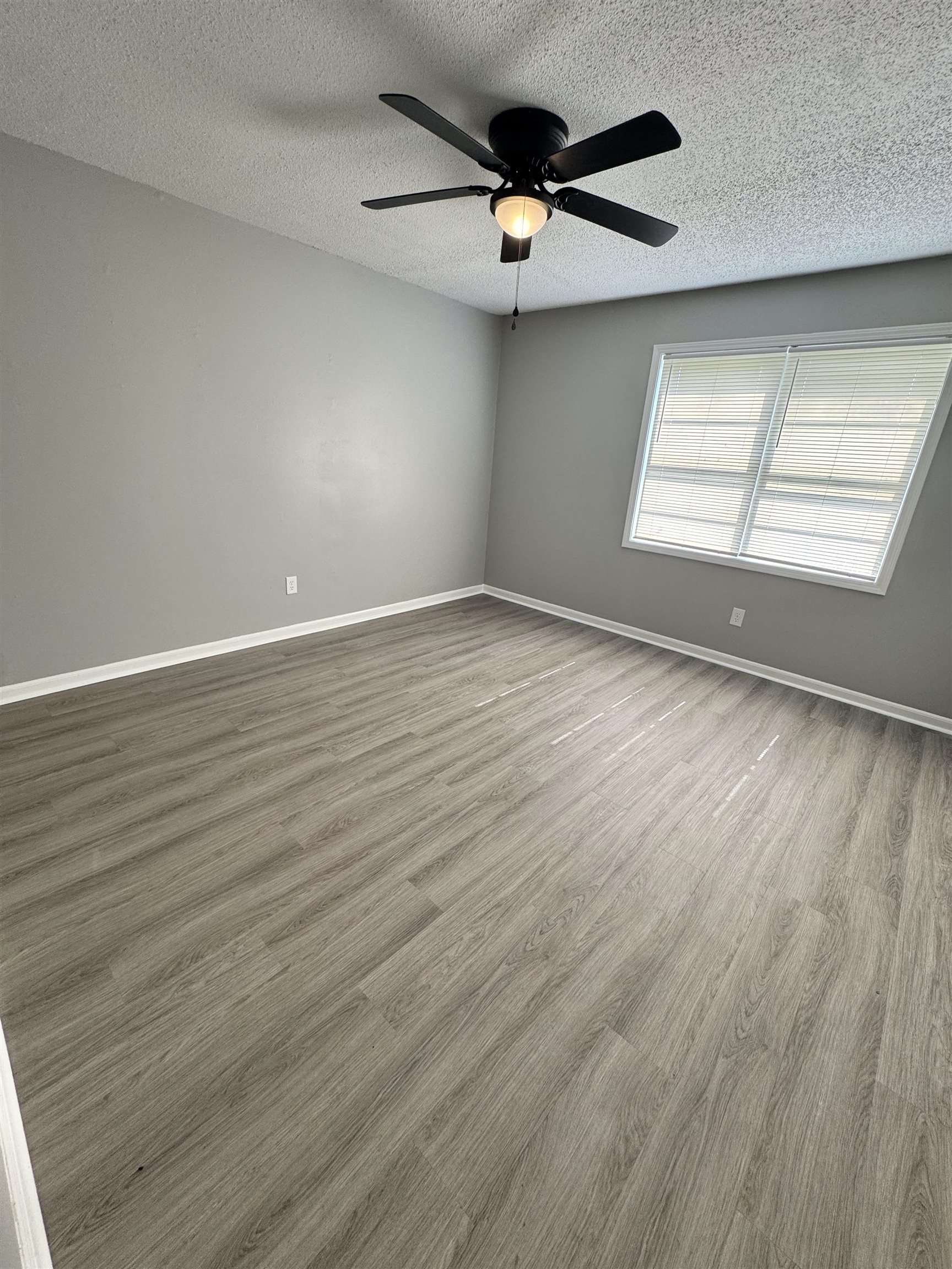 4391 Shadowline Cv Property Photo 8