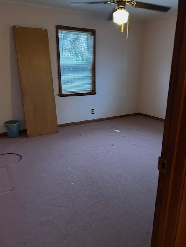 7030 Asbury Glimp Rd Property Photo 17