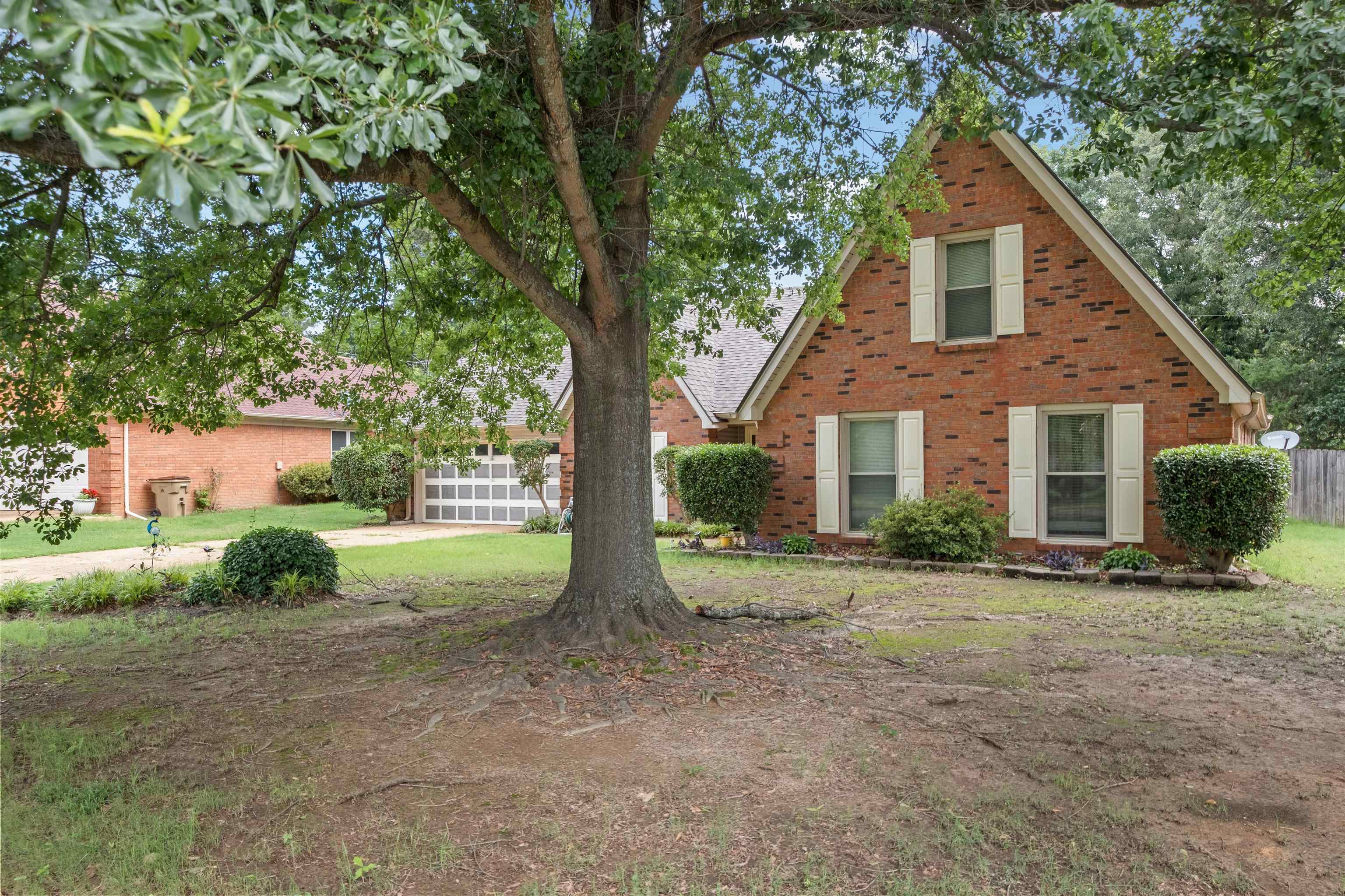 7188 Autumn Forrest Dr Property Photo 2