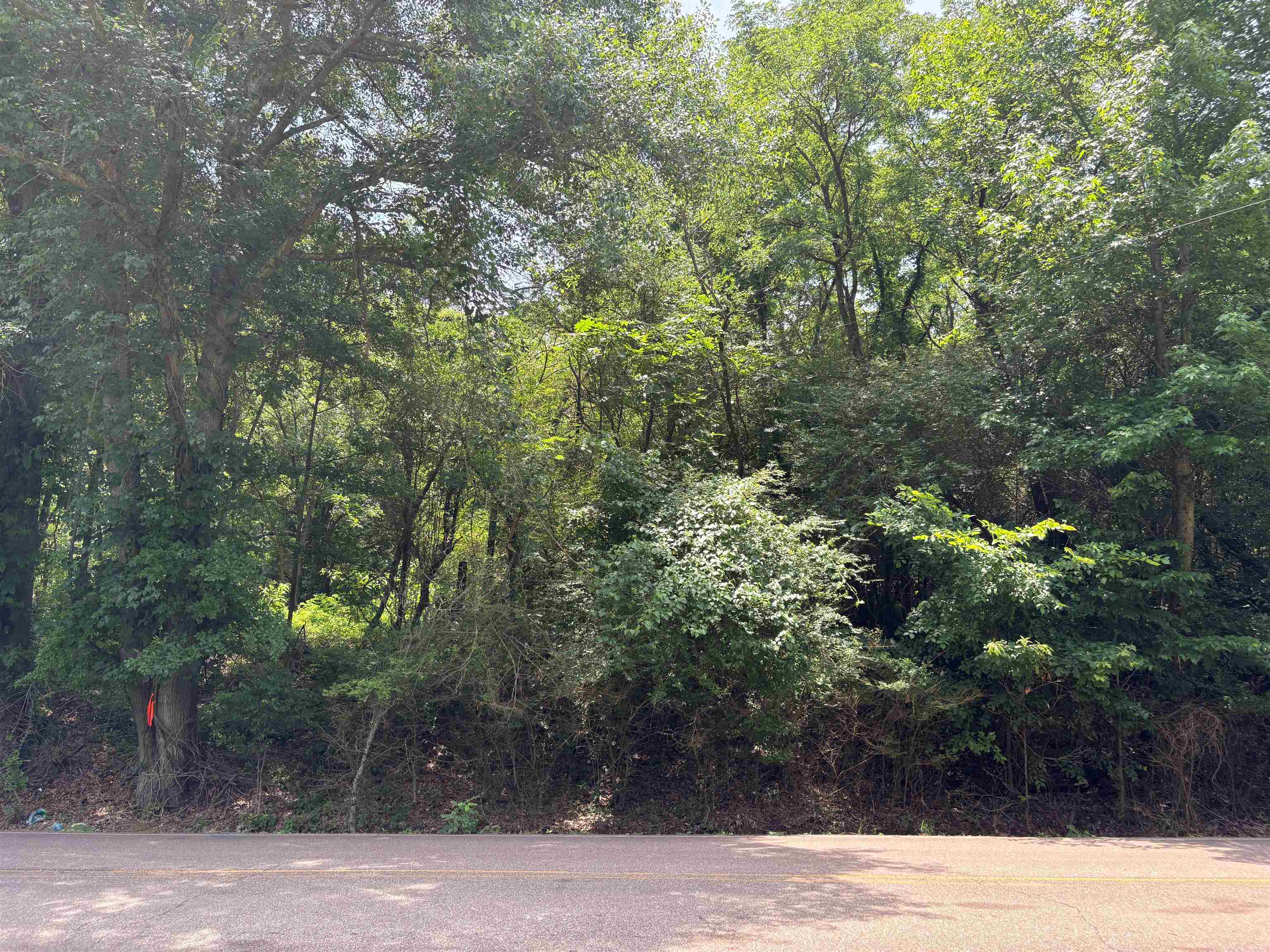 10477 Godwin Rd Property Photo 6