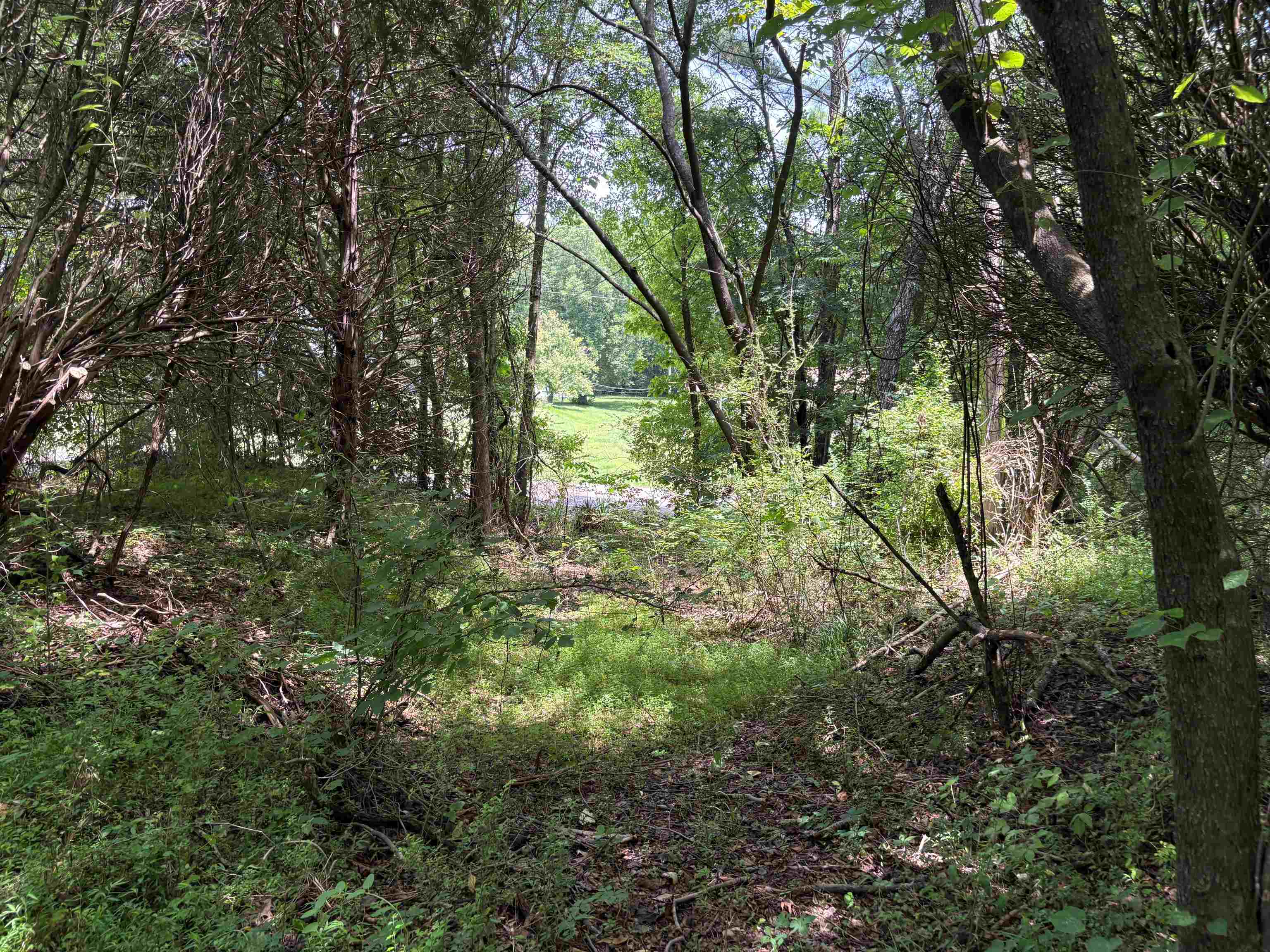 10477 Godwin Rd Property Photo 8