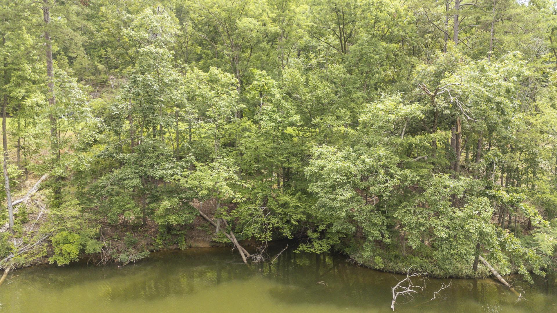 Lot 181 Arborwood Ln Property Photo 1