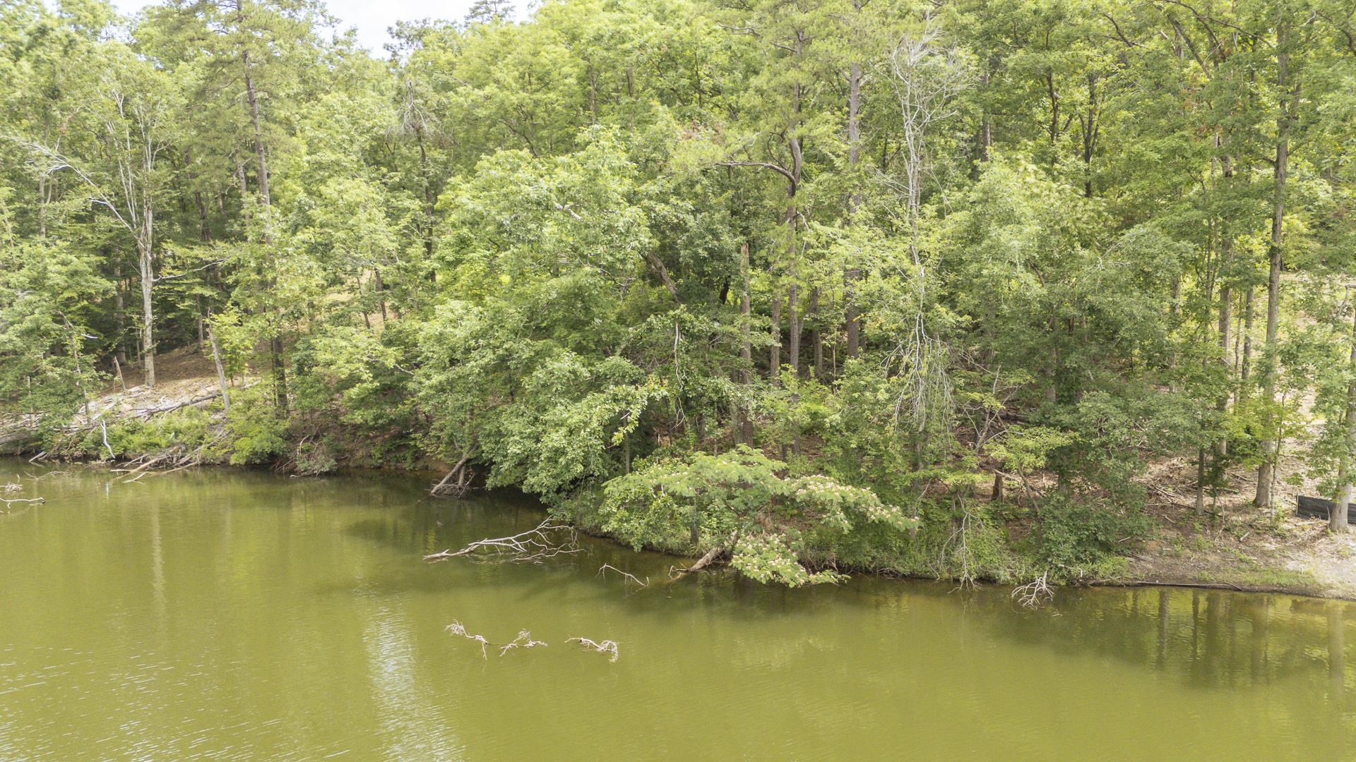 Lot 181 Arborwood Ln Property Photo 2