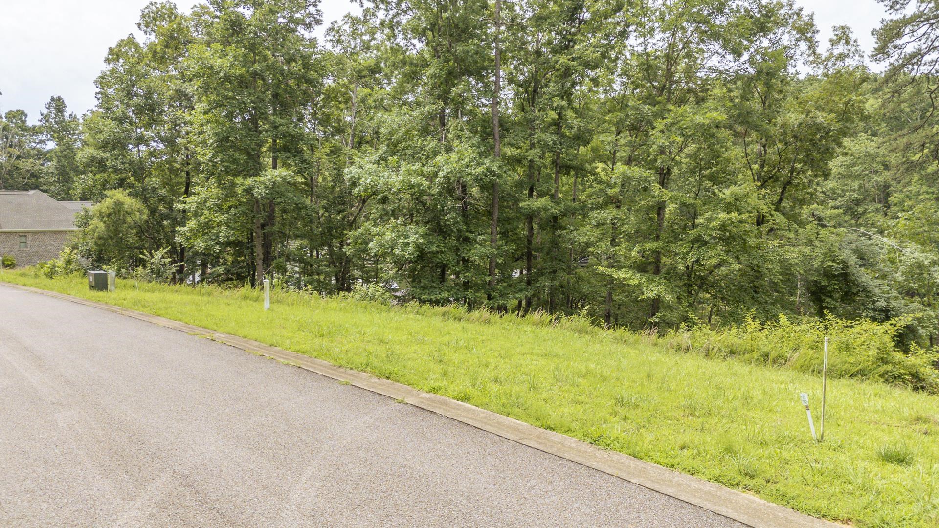 Lot 181 Arborwood Ln Property Photo 7