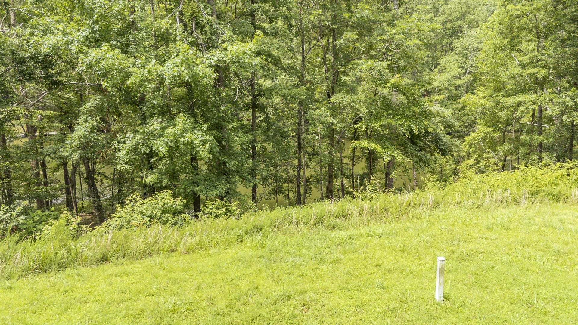 Lot 181 Arborwood Ln Property Photo 8