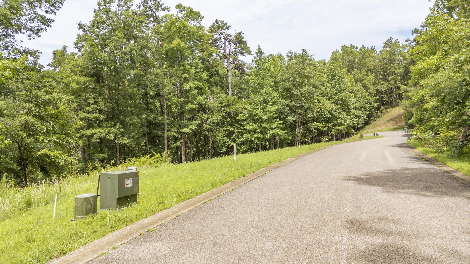 Lot 181 Arborwood Ln Property Photo 9