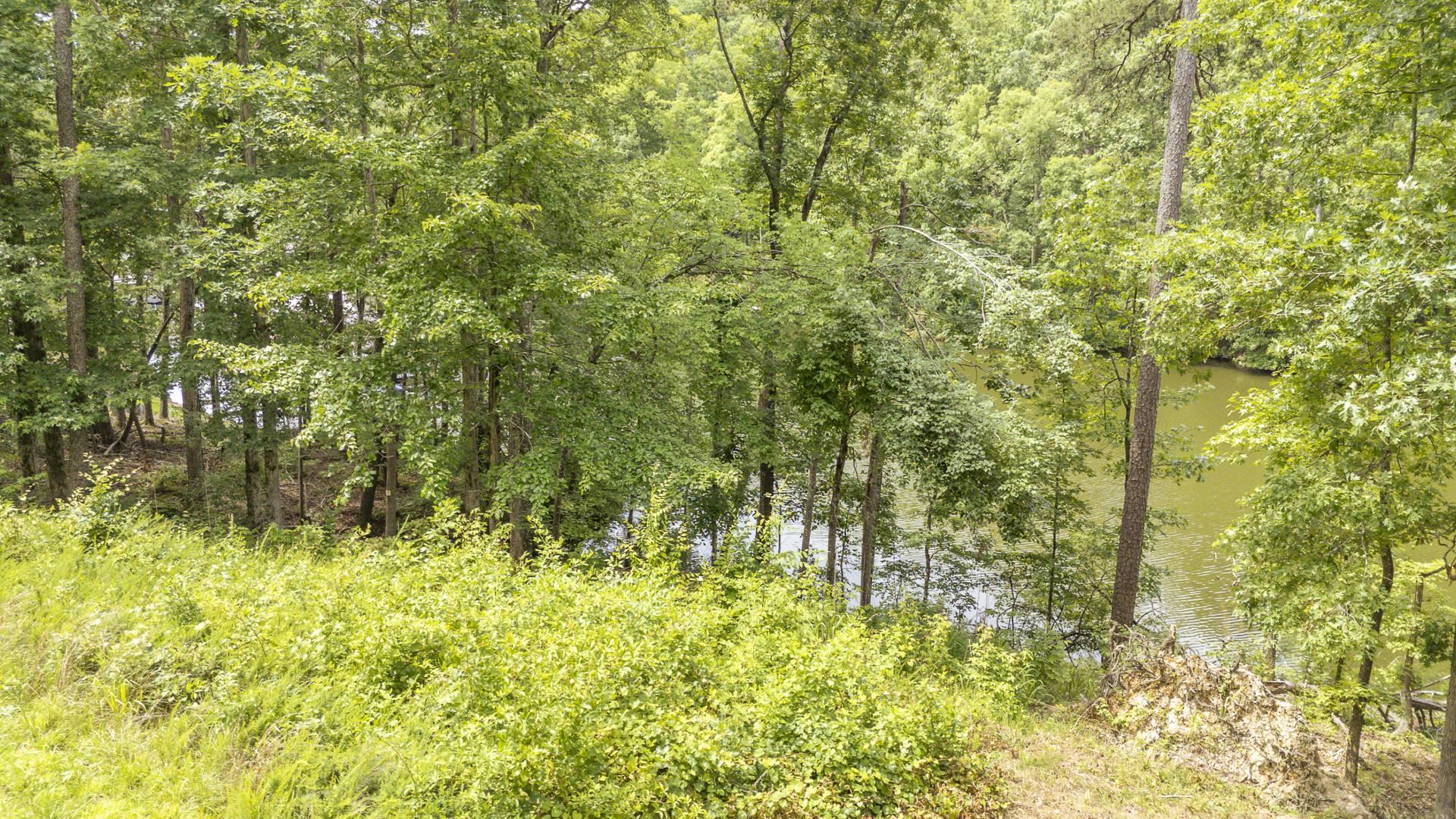 Lot 181 Arborwood Ln Property Photo 10