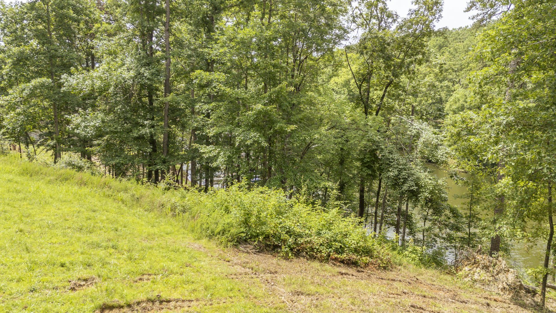 Lot 181 Arborwood Ln Property Photo 11