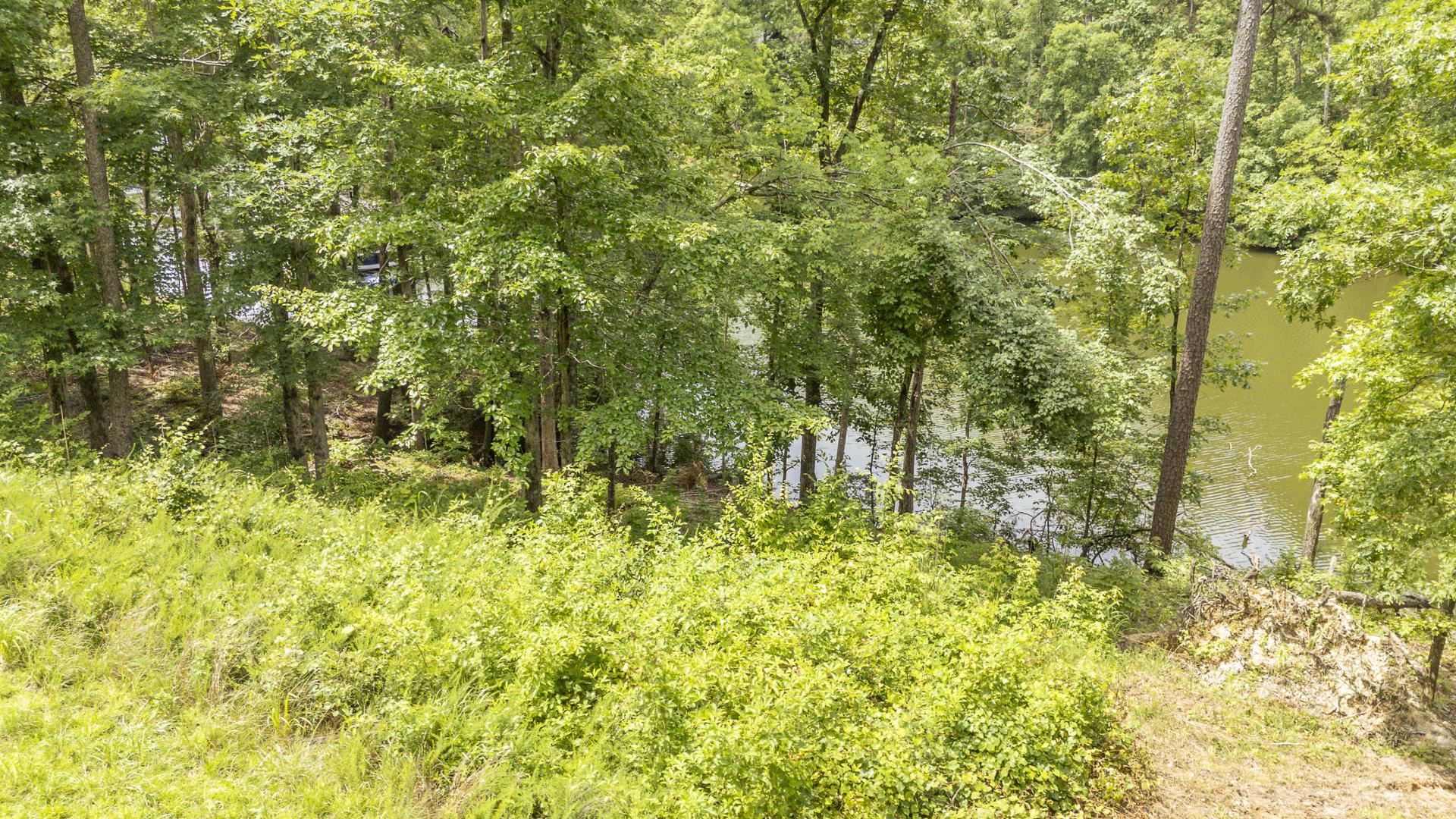 Lot 181 Arborwood Ln Property Photo 12