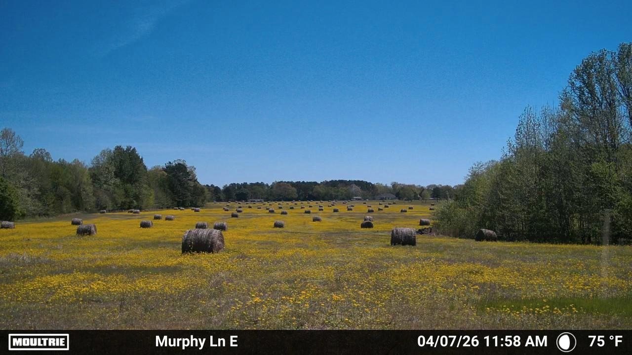 980 Murphy Ln Property Photo 1
