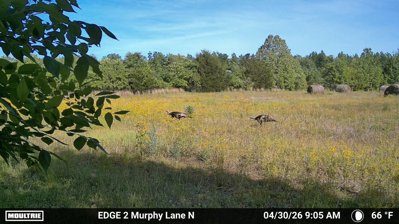 980 Murphy Ln Property Photo 2