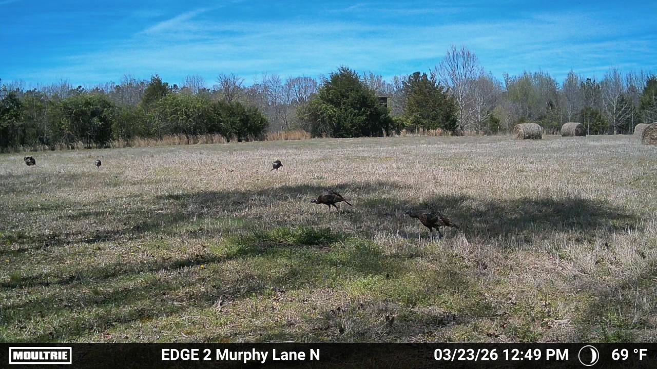 980 Murphy Ln Property Photo 4