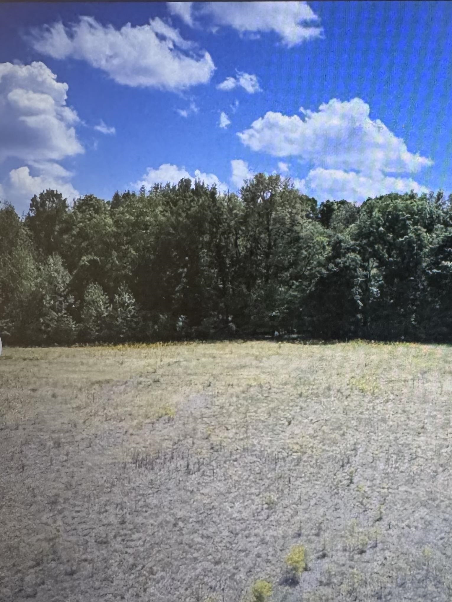 980 Murphy Ln Property Photo 10