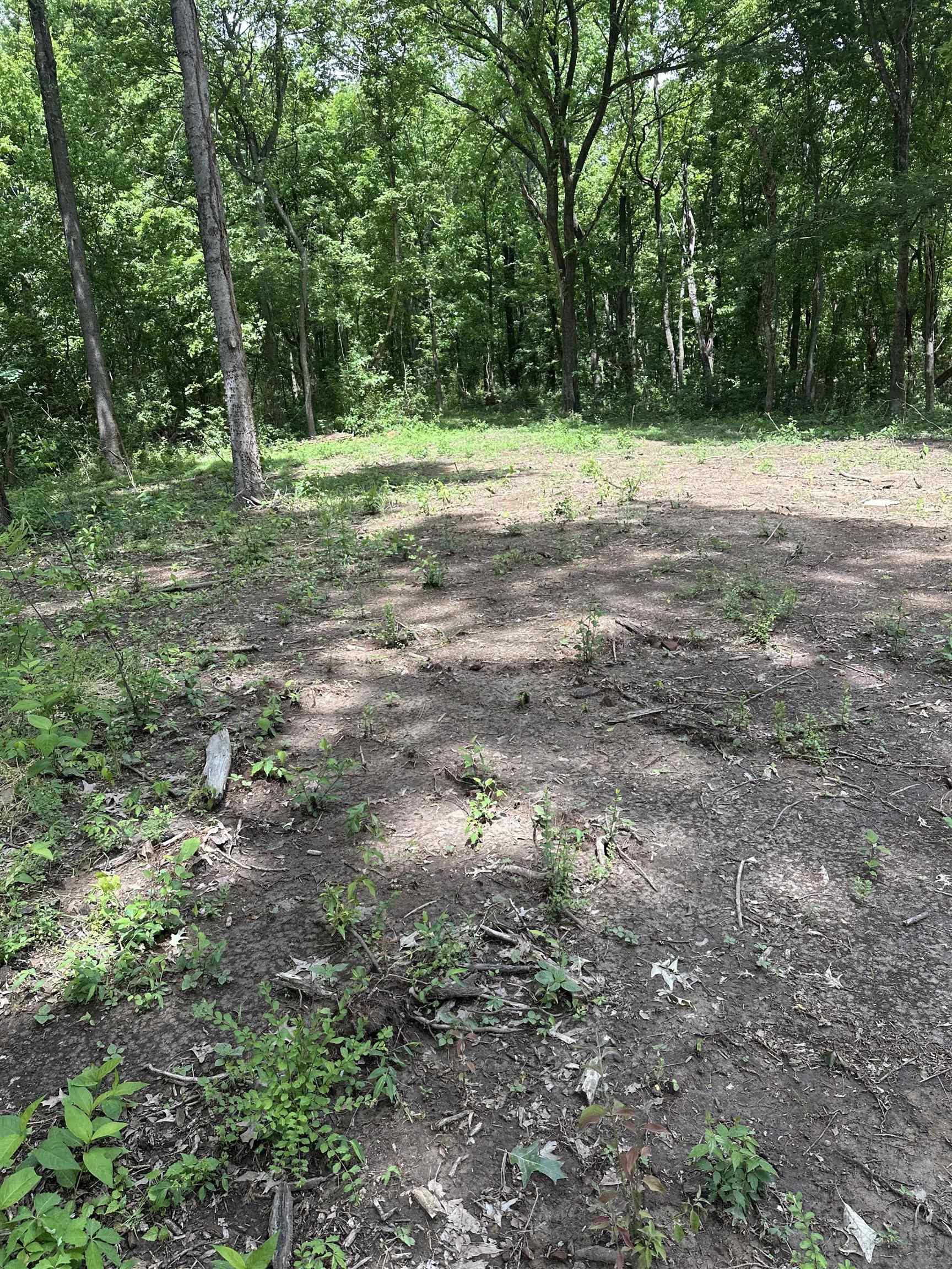 0 N WATKINS RD Property Photo 1