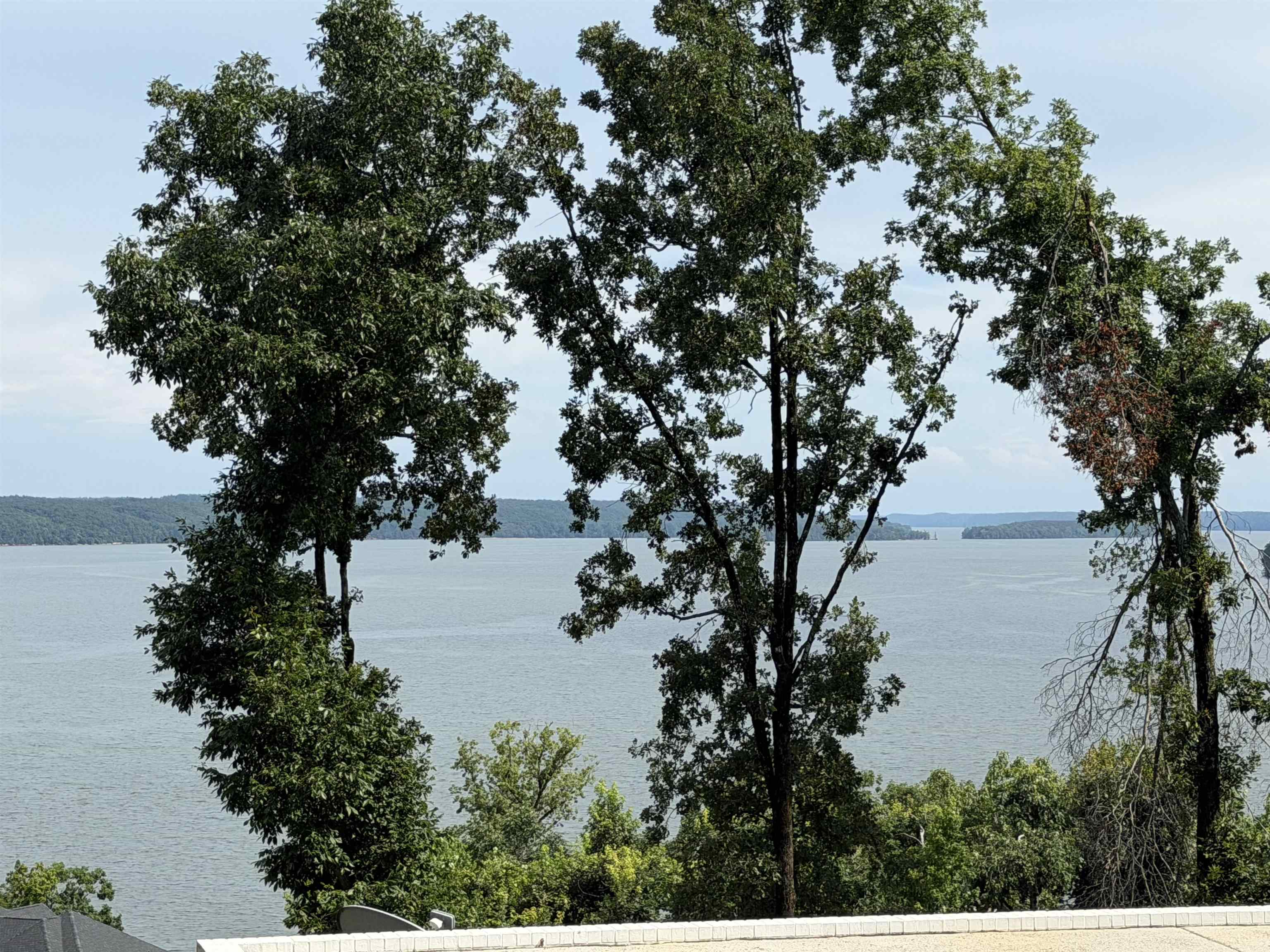 80 Endless View Rdg Property Photo 3