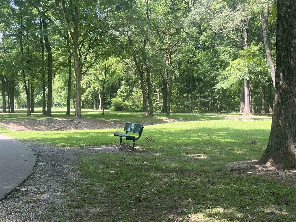 6960 Country Rd 50 Property Photo 31