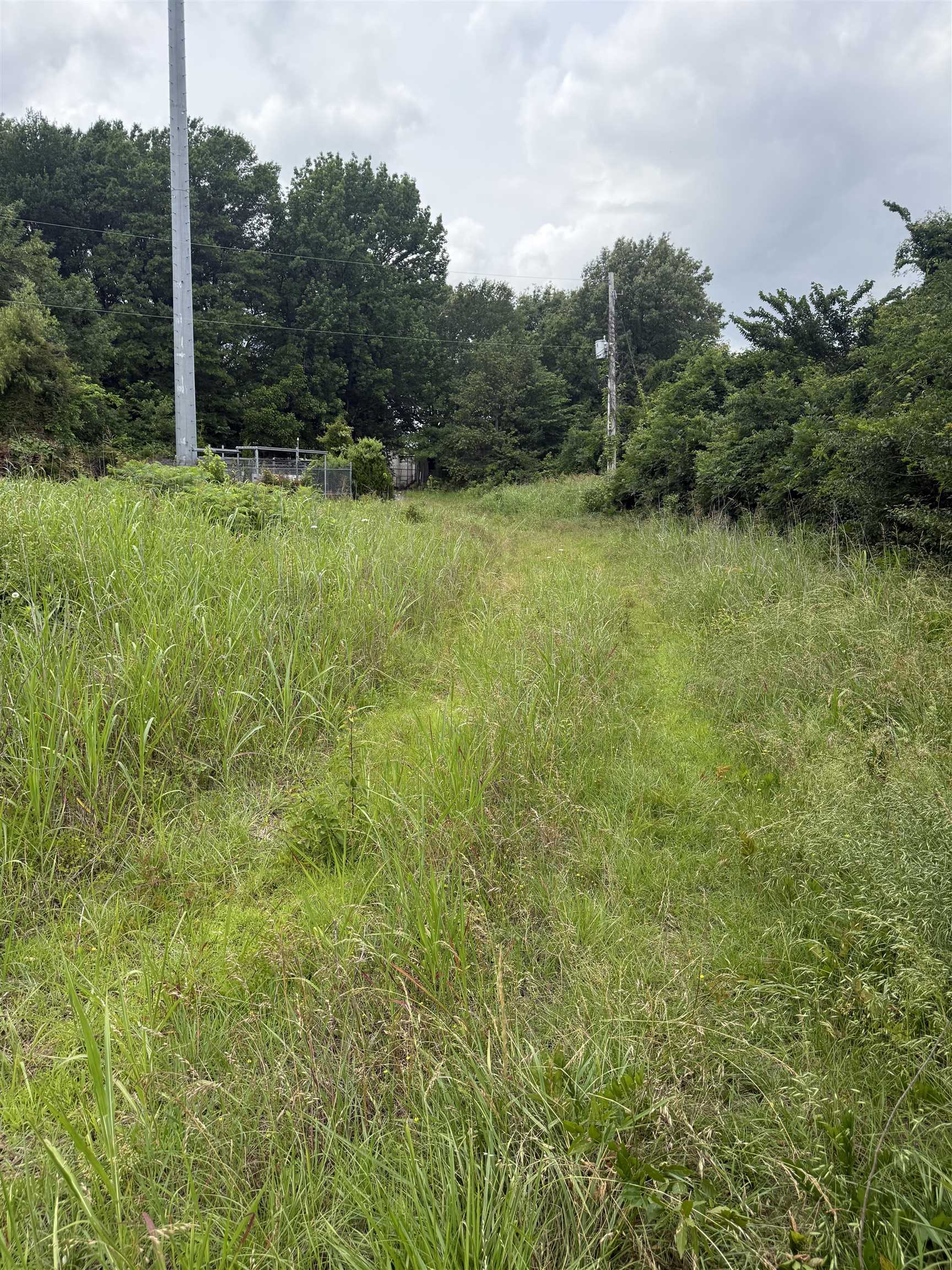0 Wilson Rd Property Photo 3