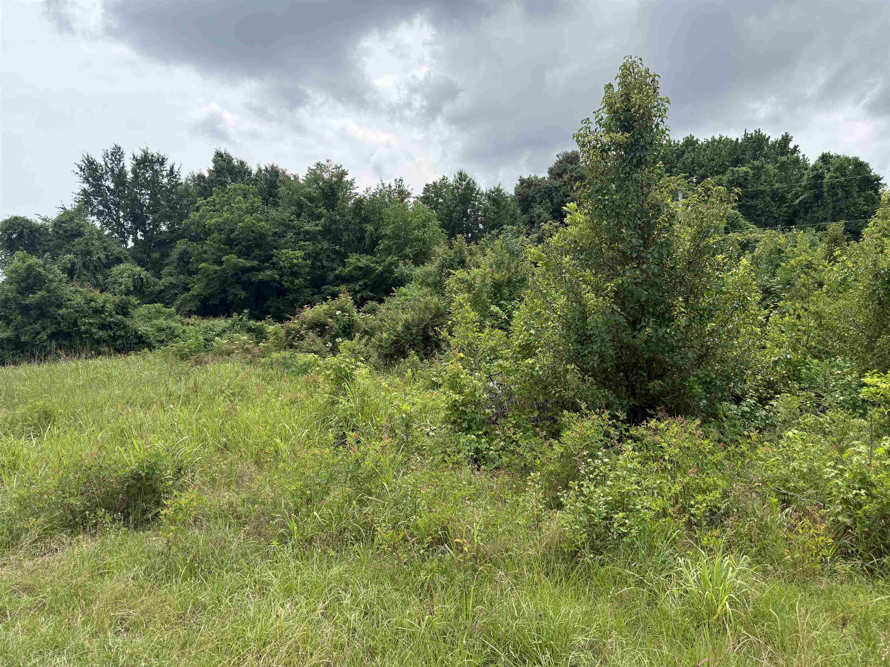 0 Wilson Rd Property Photo 4