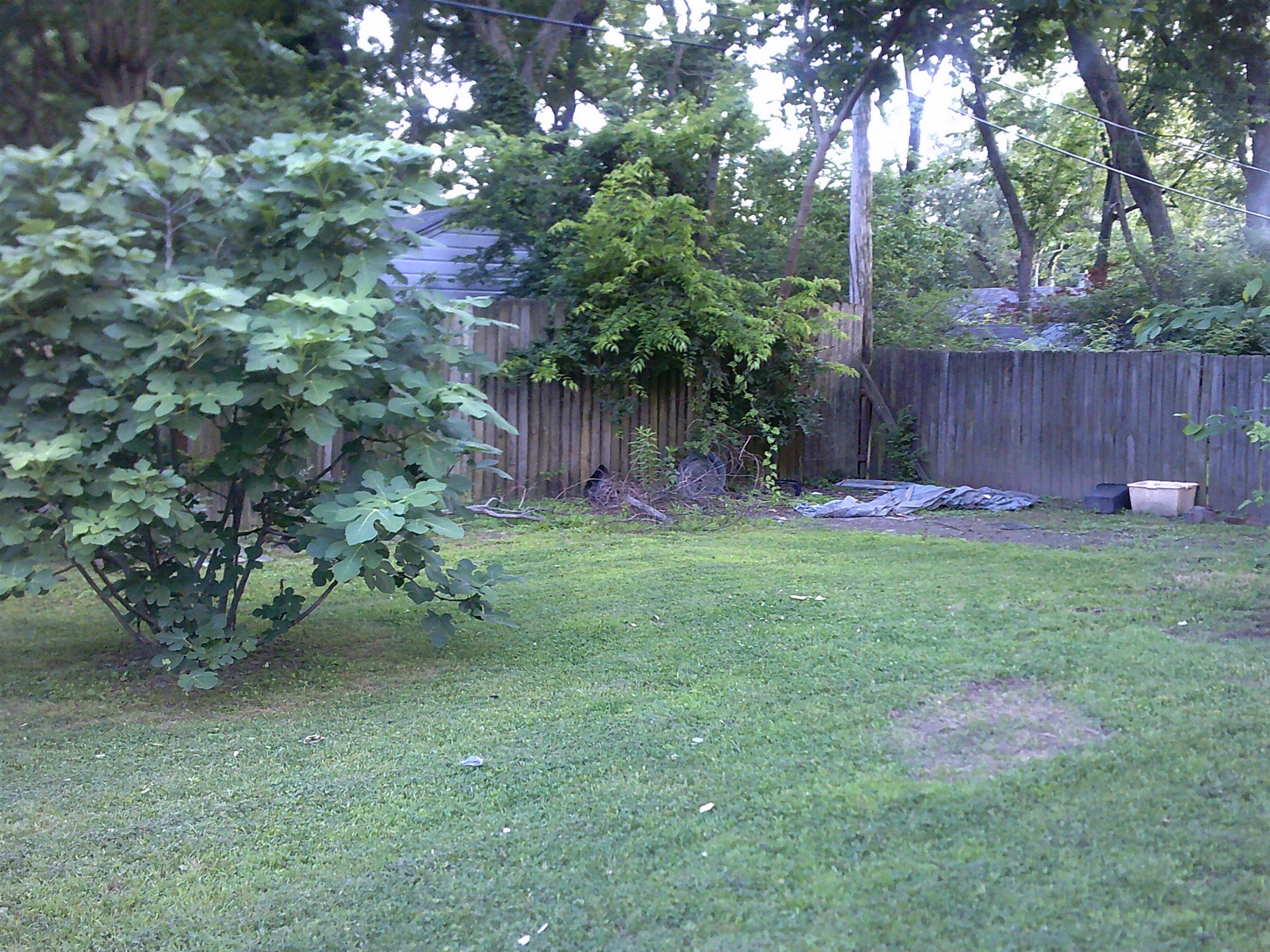 3545 Kearney St Property Photo 5