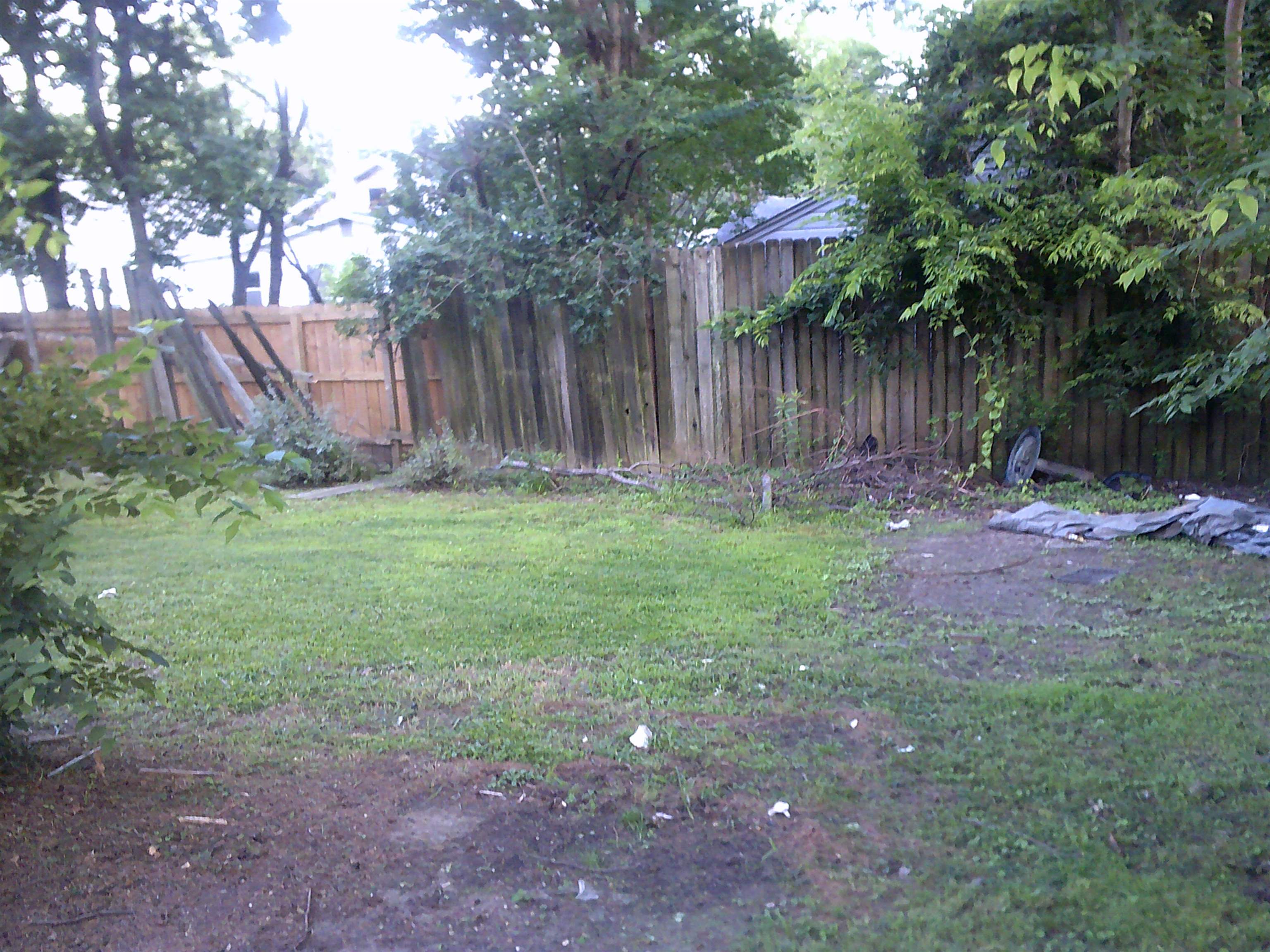 3545 Kearney St Property Photo 6