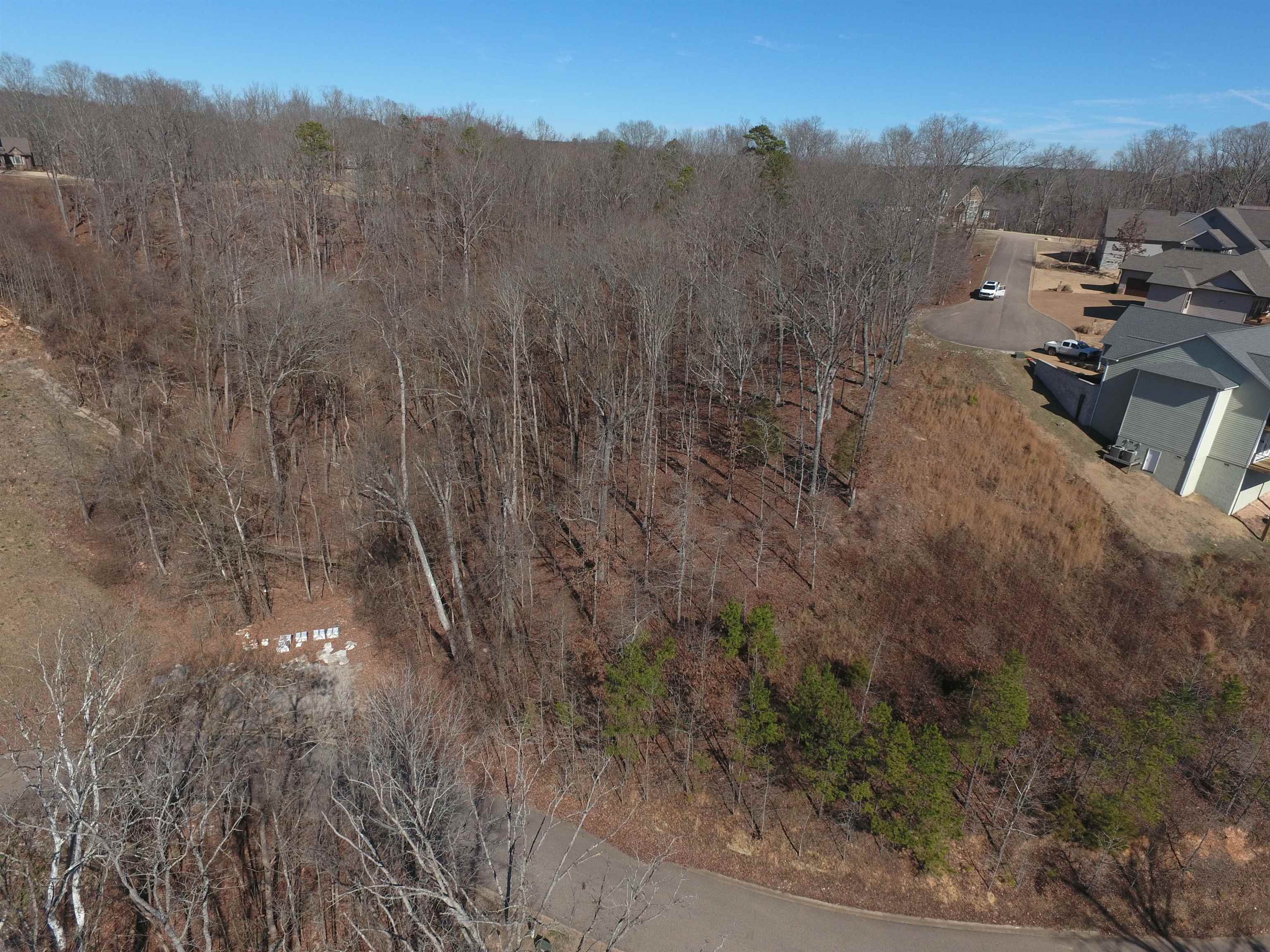 51 Legacy Pt Property Photo 2