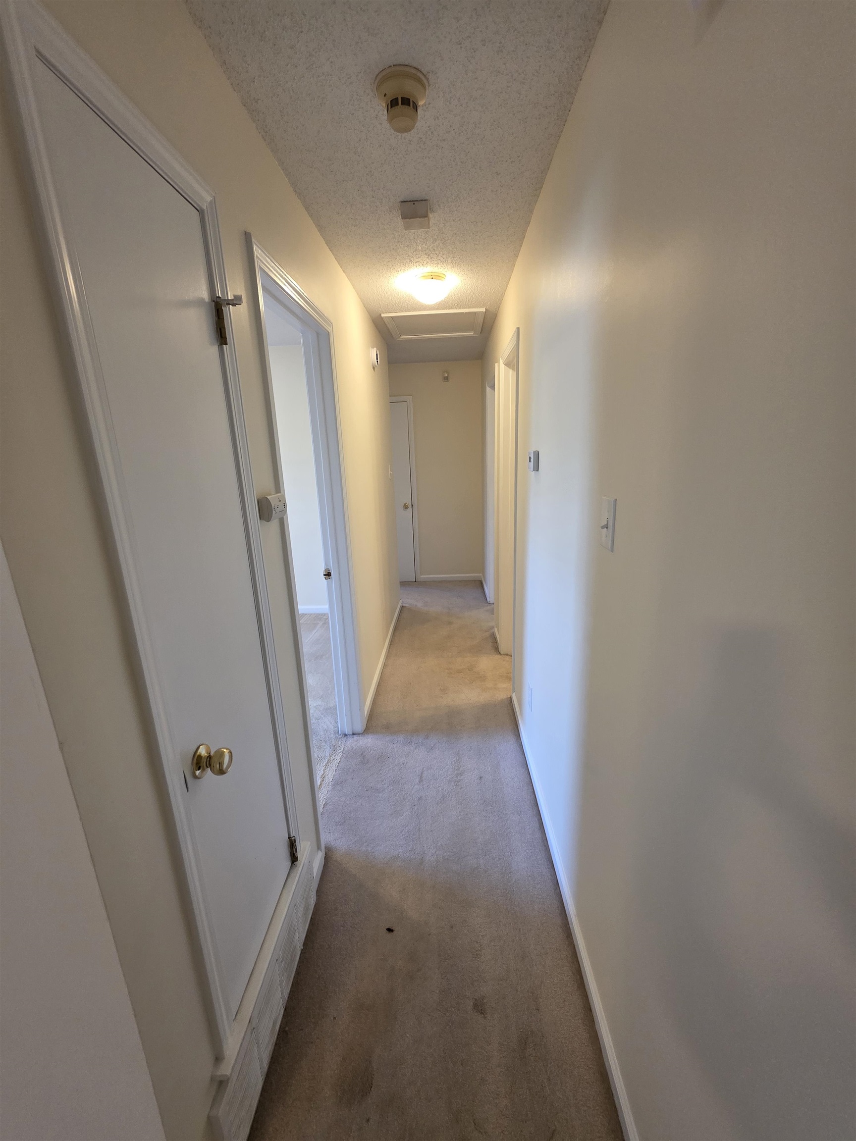 3834 Windermere Dr Property Photo 10