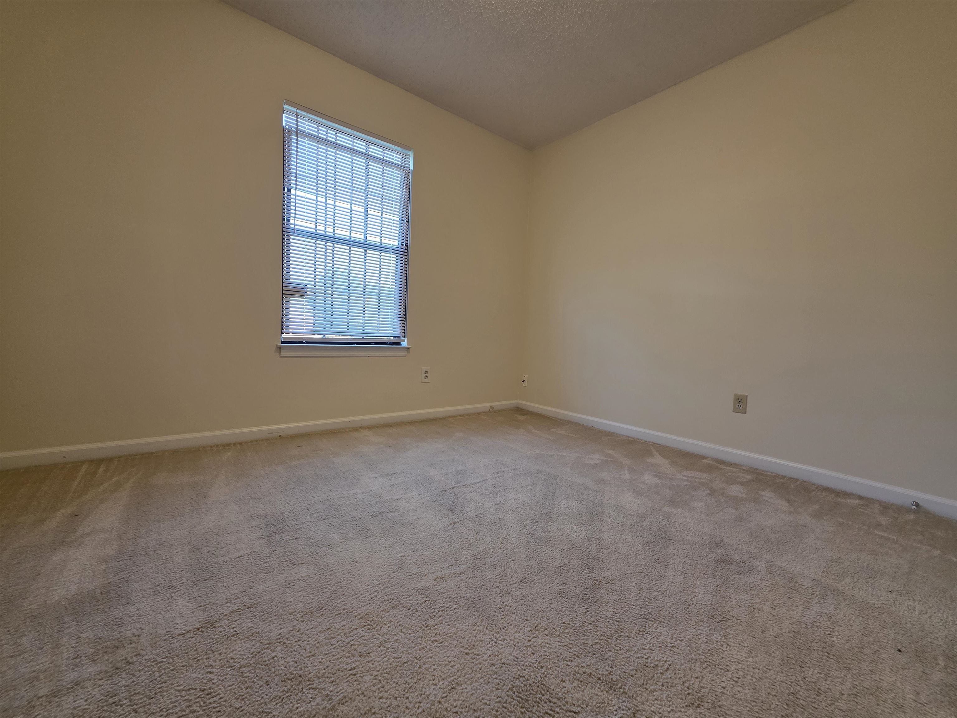 3834 Windermere Dr Property Photo 14