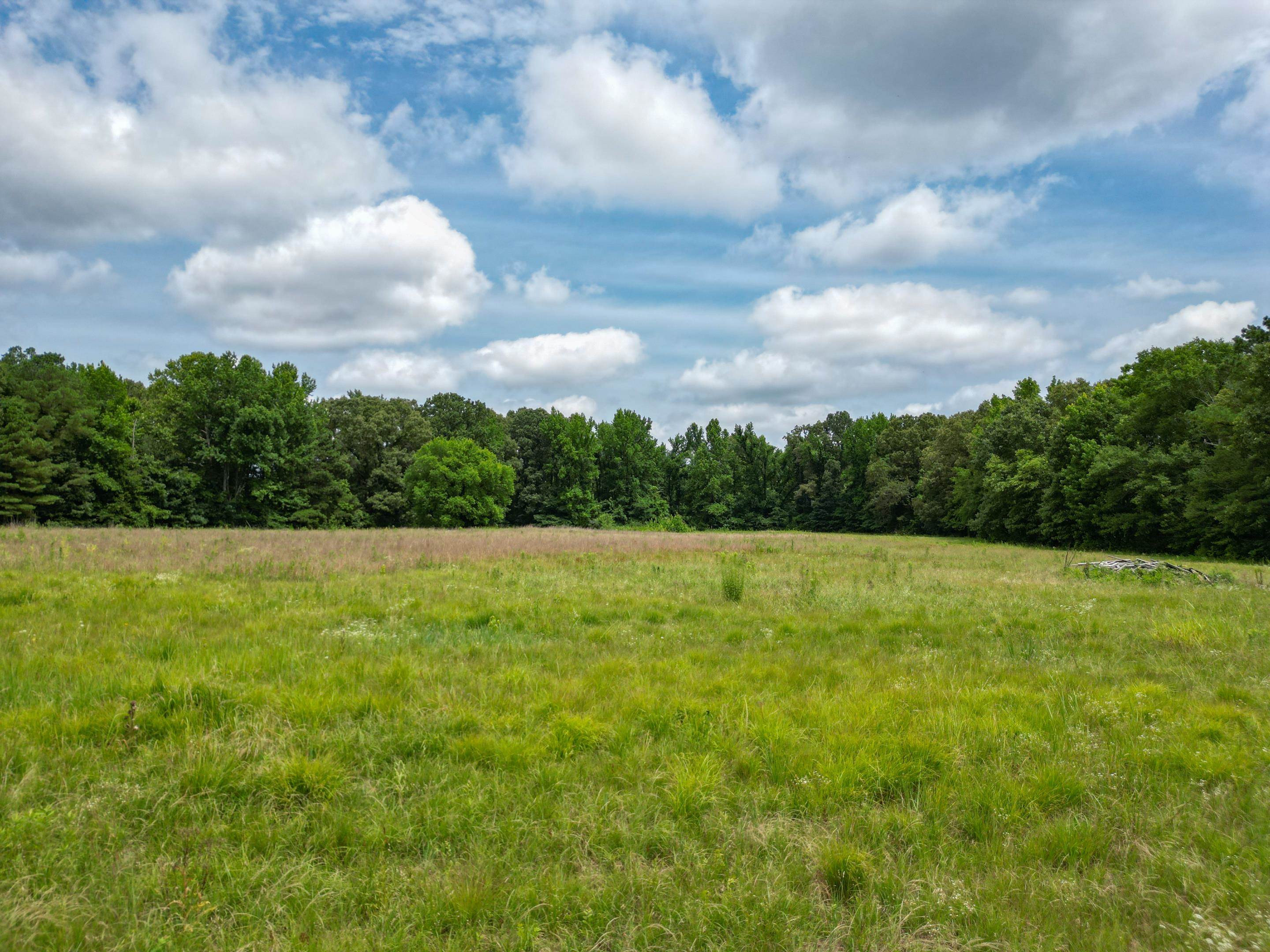 Lot 4 Old State Line Dr Property Photo 9