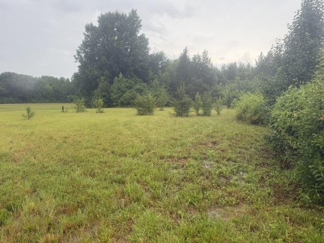 1100 Pine Top Rd Property Photo 36