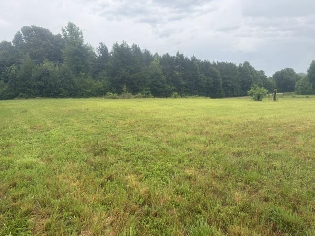 1100 Pine Top Rd Property Photo 37