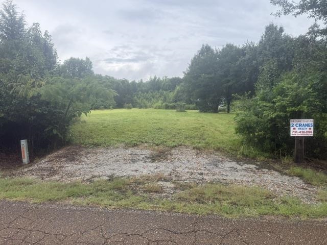 1100 Pine Top Rd Property Photo 39