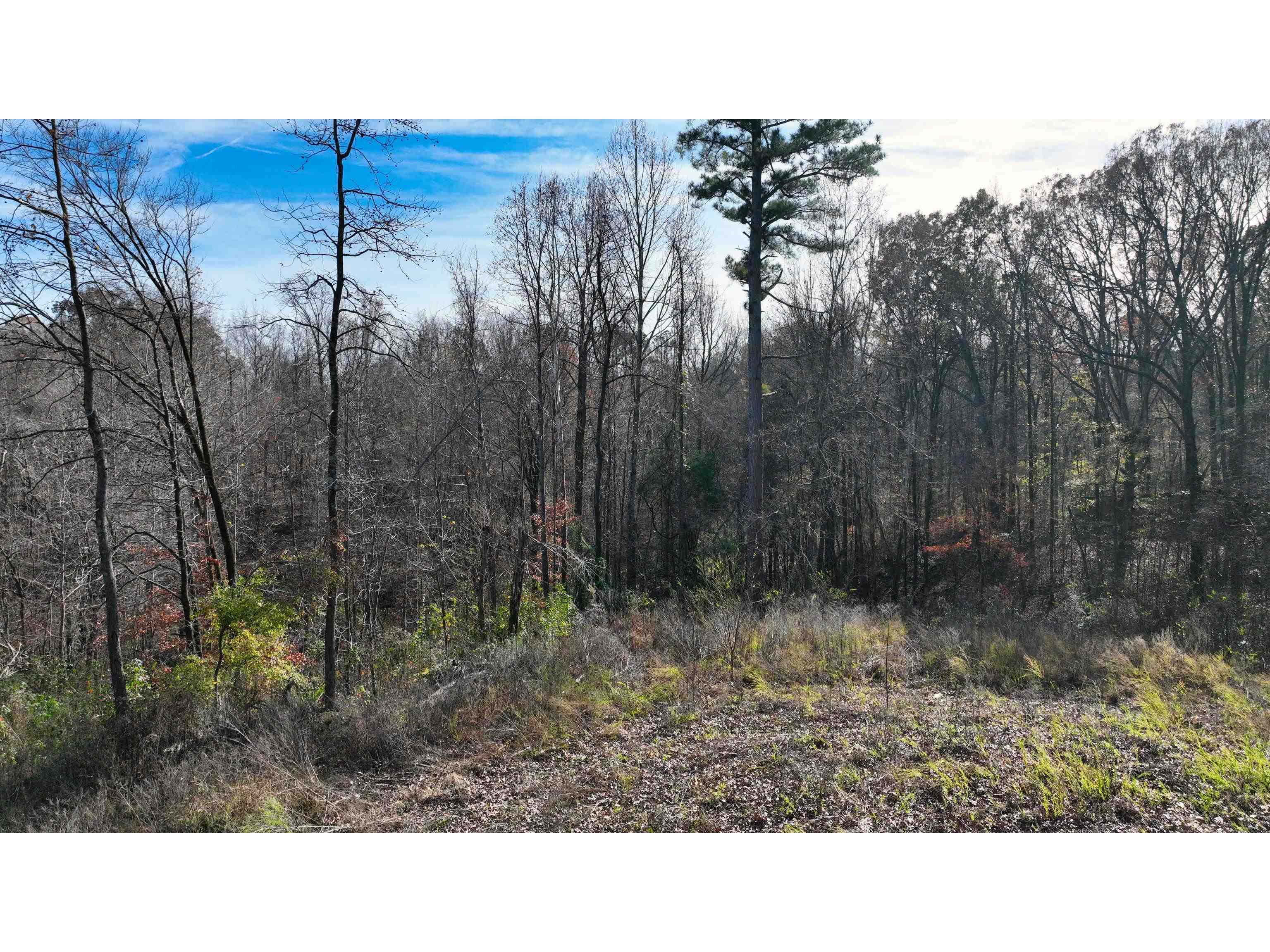 Munford Giltedge Rd Property Photo 3