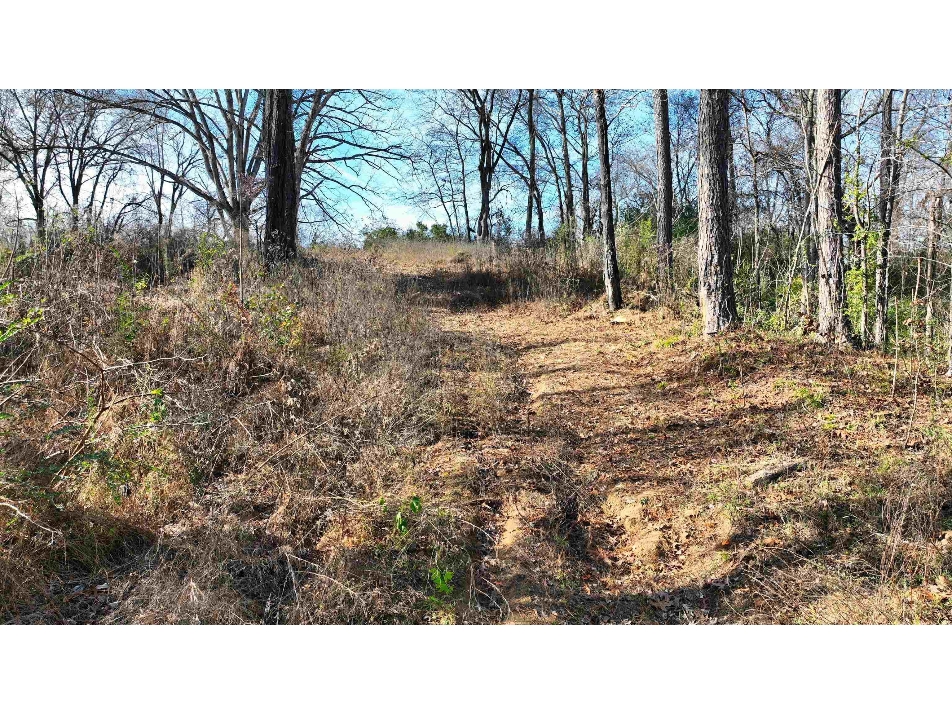 Munford Giltedge Rd Property Photo 4