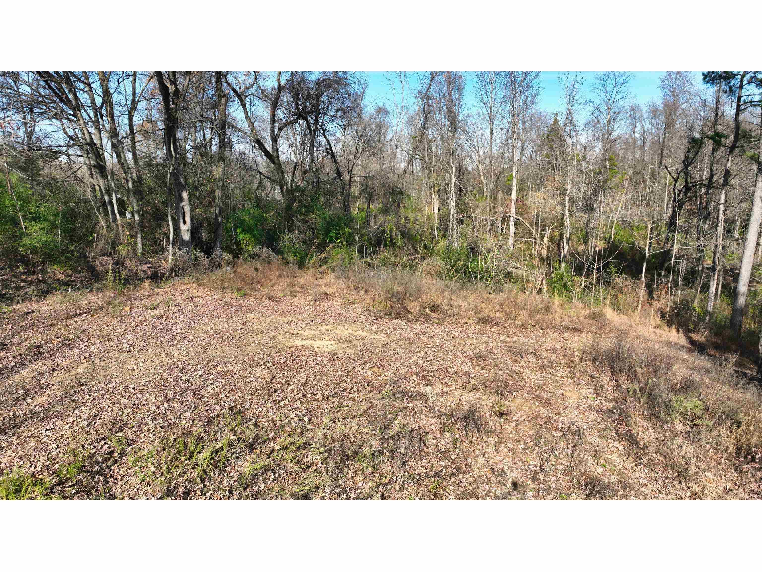 Munford Giltedge Rd Property Photo 7