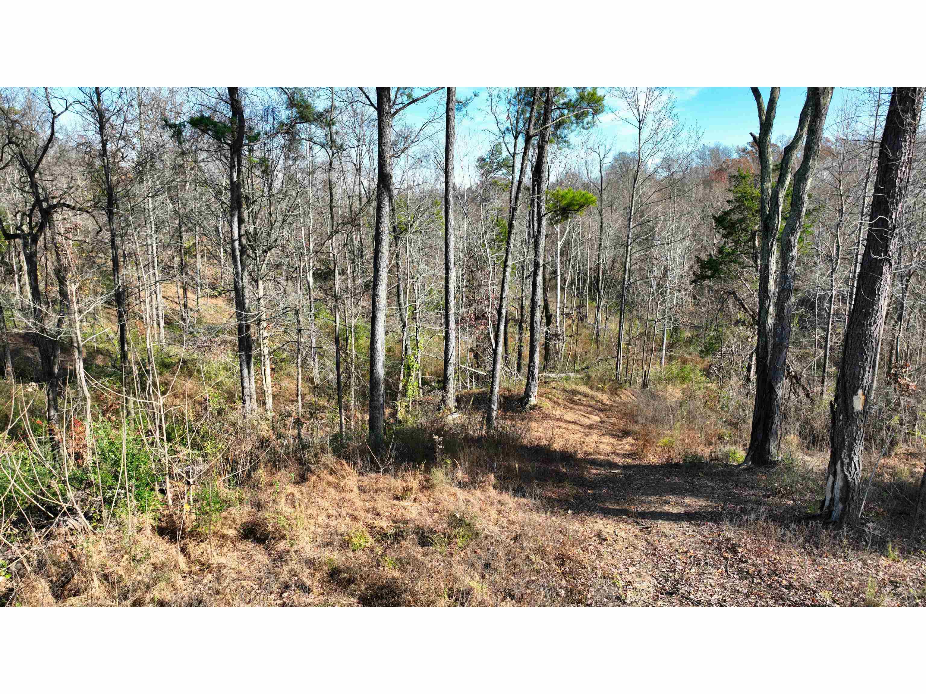 Munford Giltedge Rd Property Photo 8
