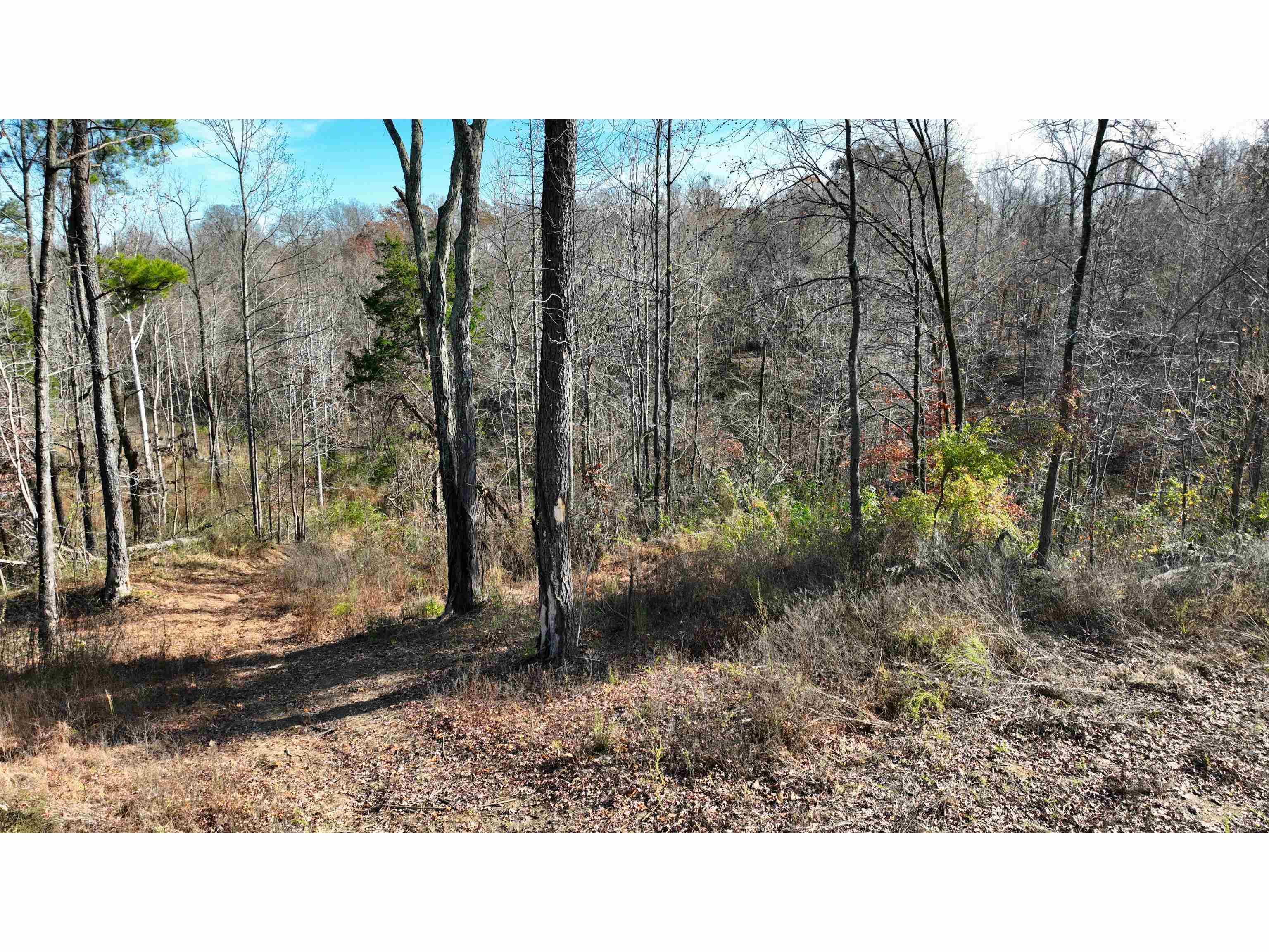 Munford Giltedge Rd Property Photo 9