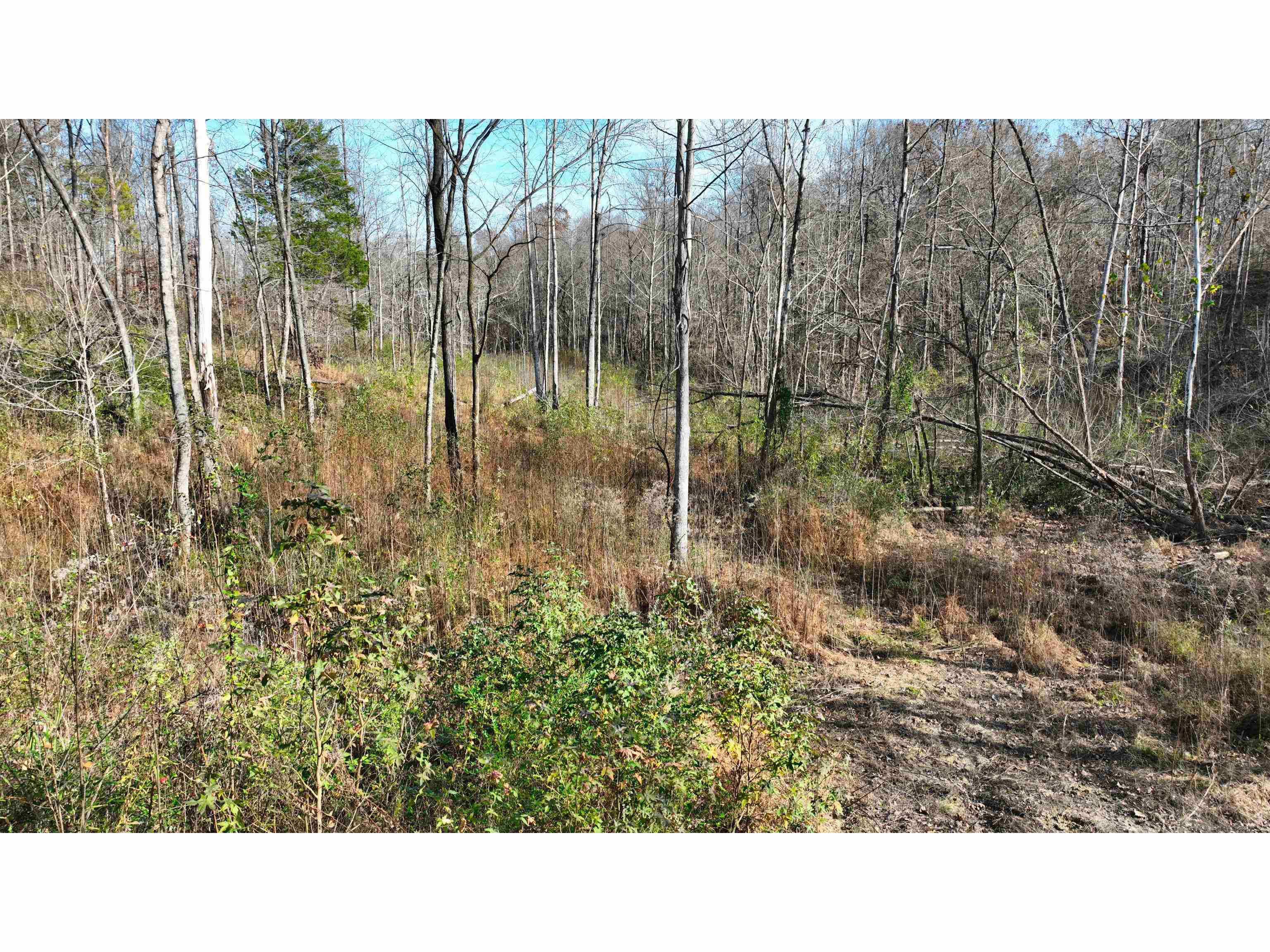 Munford Giltedge Rd Property Photo 10