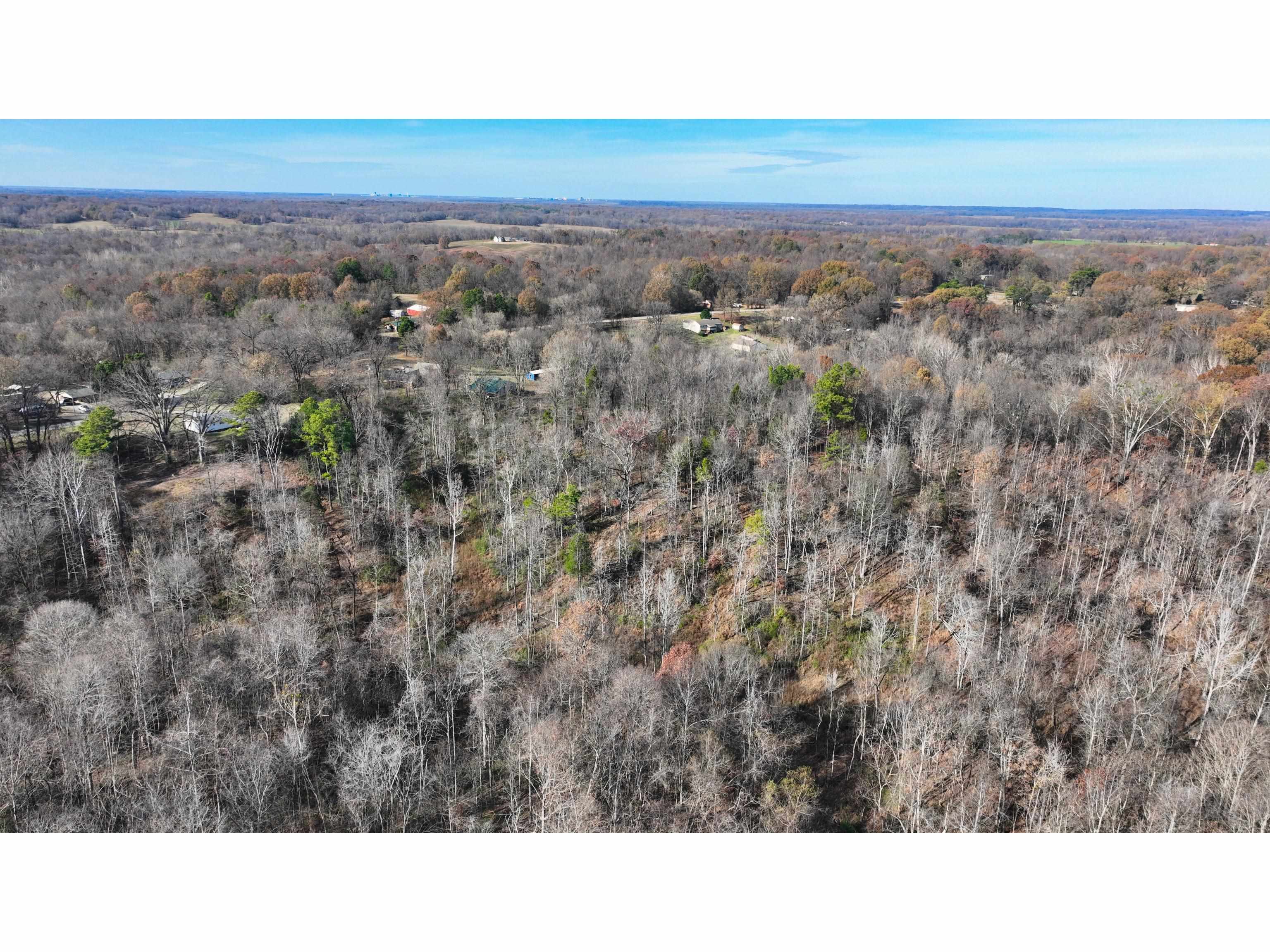 Munford Giltedge Rd Property Photo 11