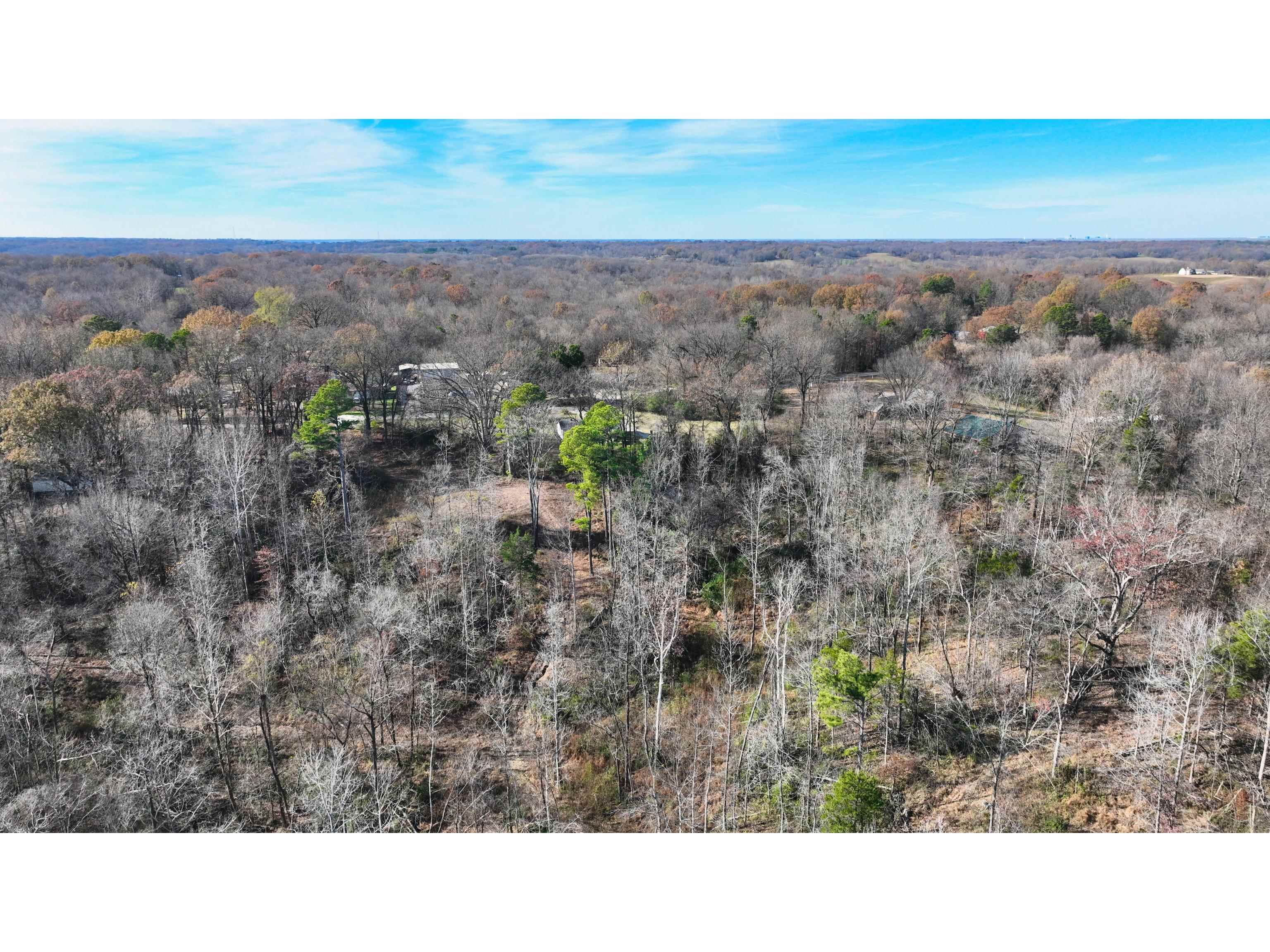 Munford Giltedge Rd Property Photo 13