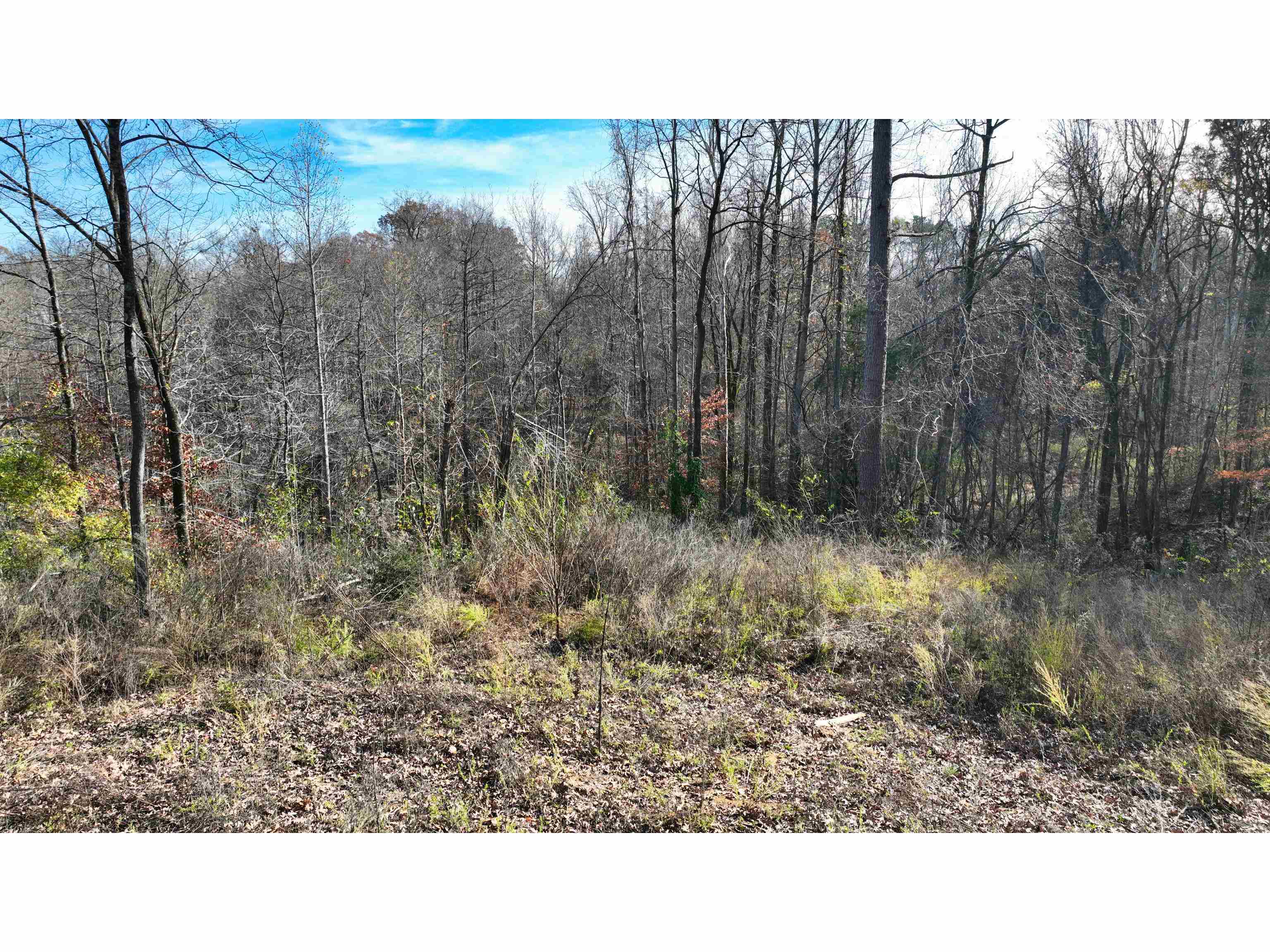 Munford Giltedge Rd Property Photo 14
