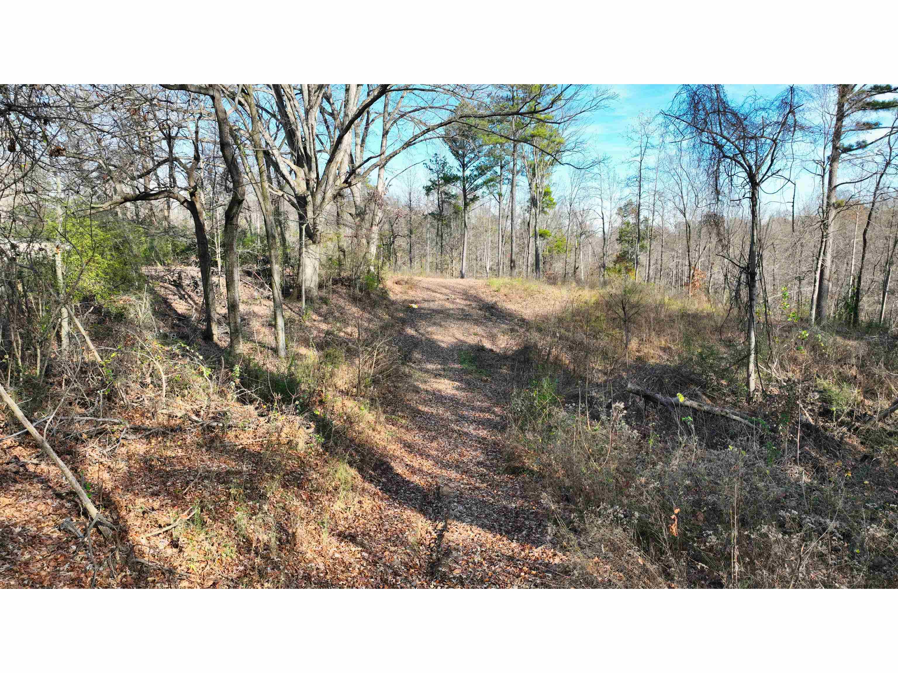 Munford Giltedge Rd Property Photo 15