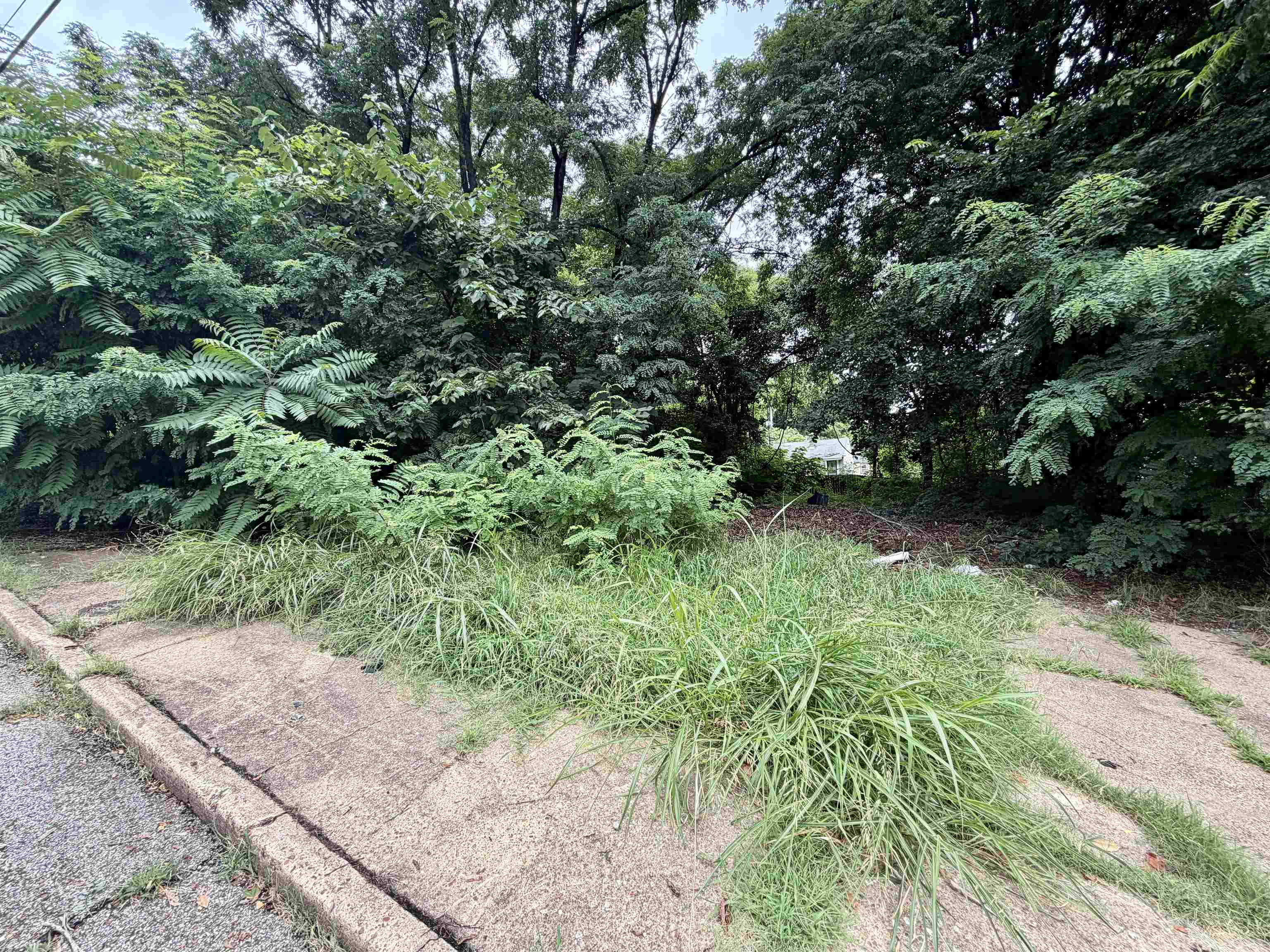 160 W Mckellar Ave Property Photo 3