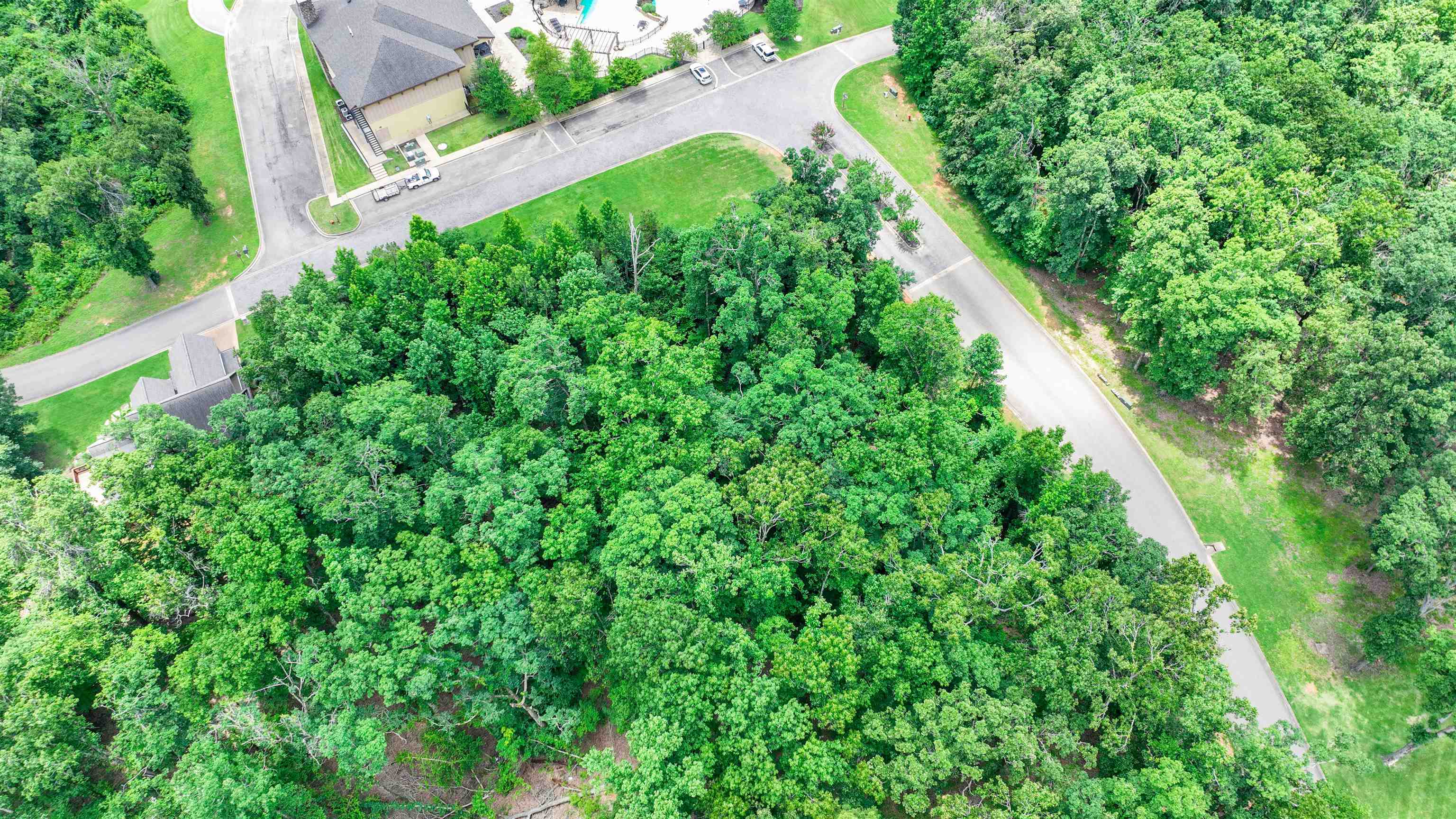 59 Breathtaking Loop Property Photo 6